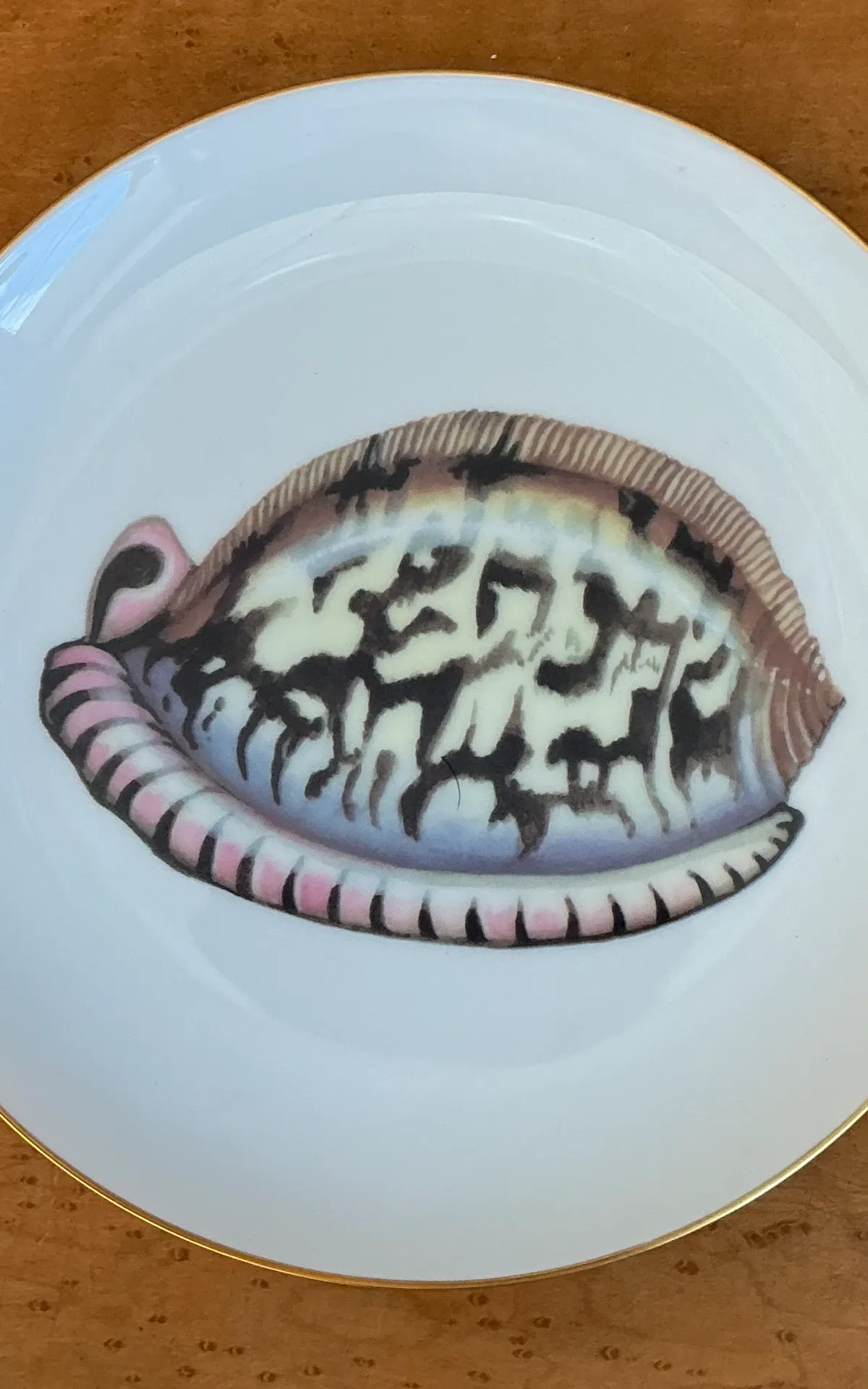 Vintage Fitz And Floyd Shell Motif Ceramic Plates - Set of Twelve — additional photo 8