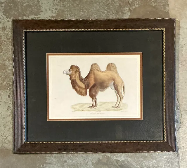 Vintage Framed Camel Print — additional photo 1