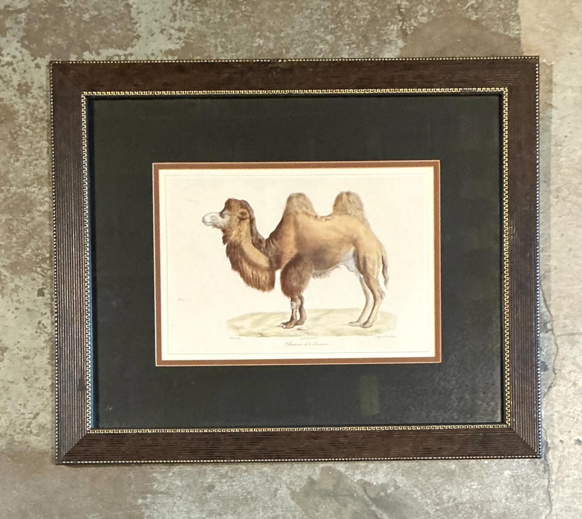 Vintage Framed Camel Print — additional photo 3