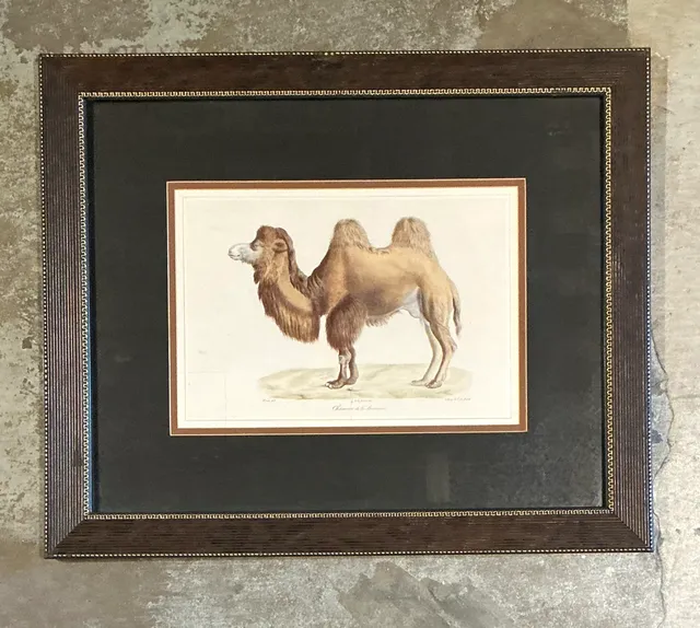 Vintage Framed Camel Print — additional photo 5