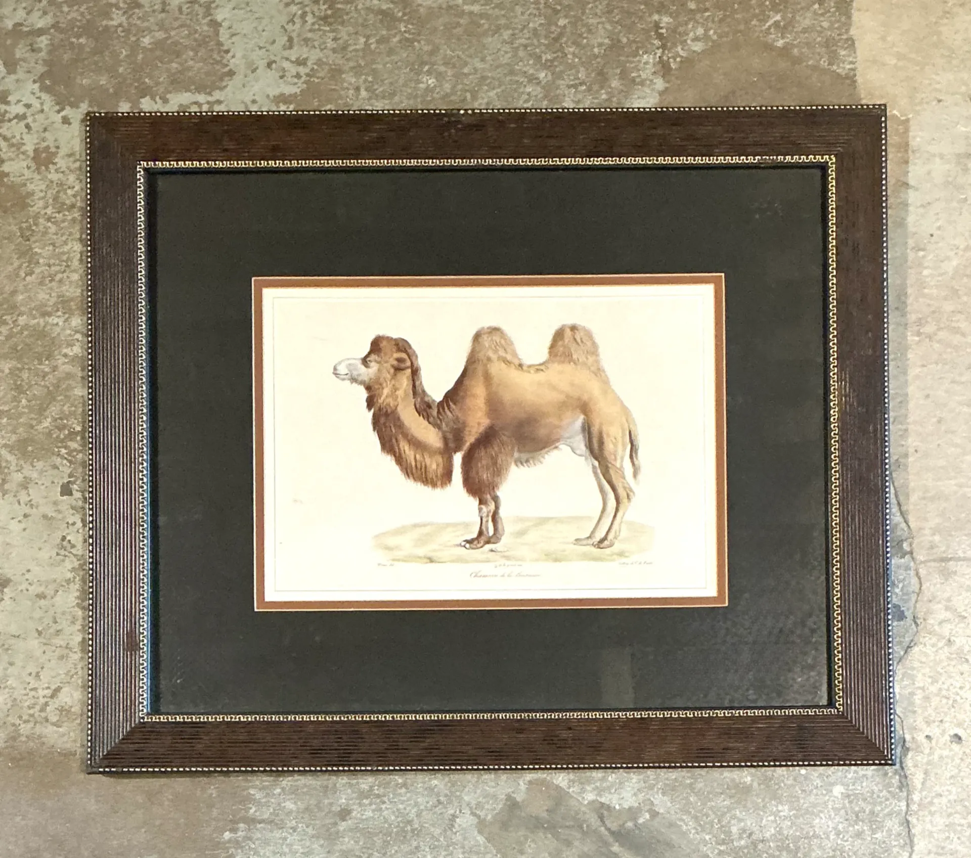 Vintage Framed Camel Print — additional photo 7