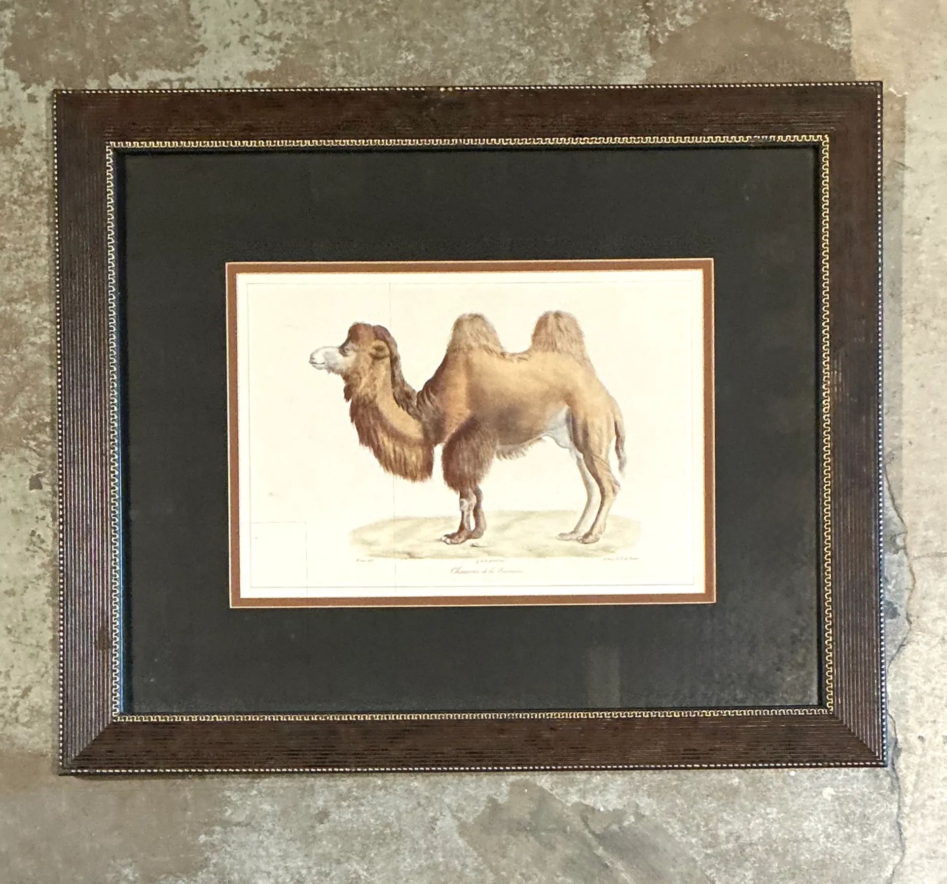Vintage Framed Camel Print — additional photo 2