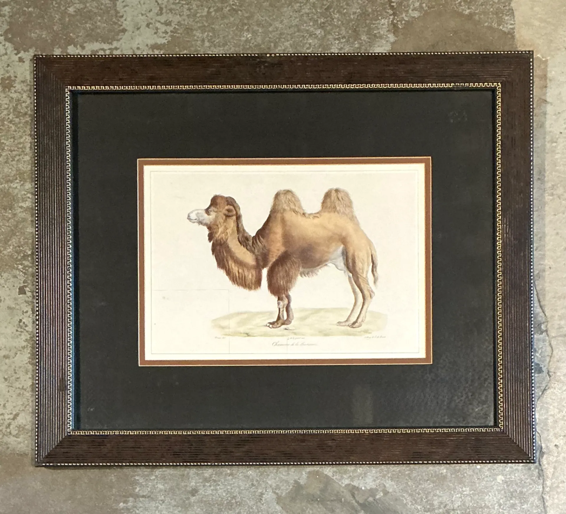 Vintage Framed Camel Print — additional photo 4