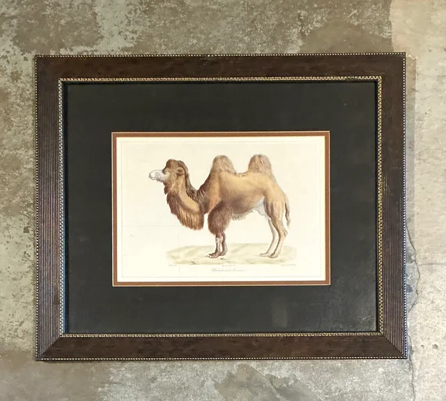 Vintage Framed Camel Print — additional photo 6
