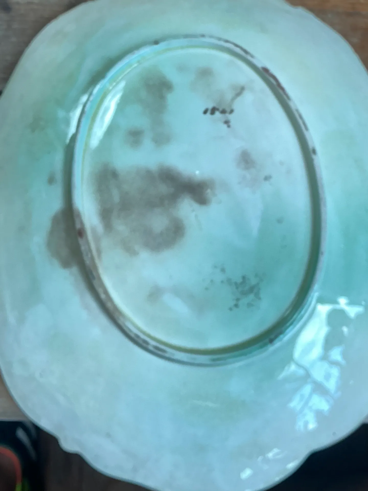 George Jones Majolica Leaf and Grape Platter — additional photo 5