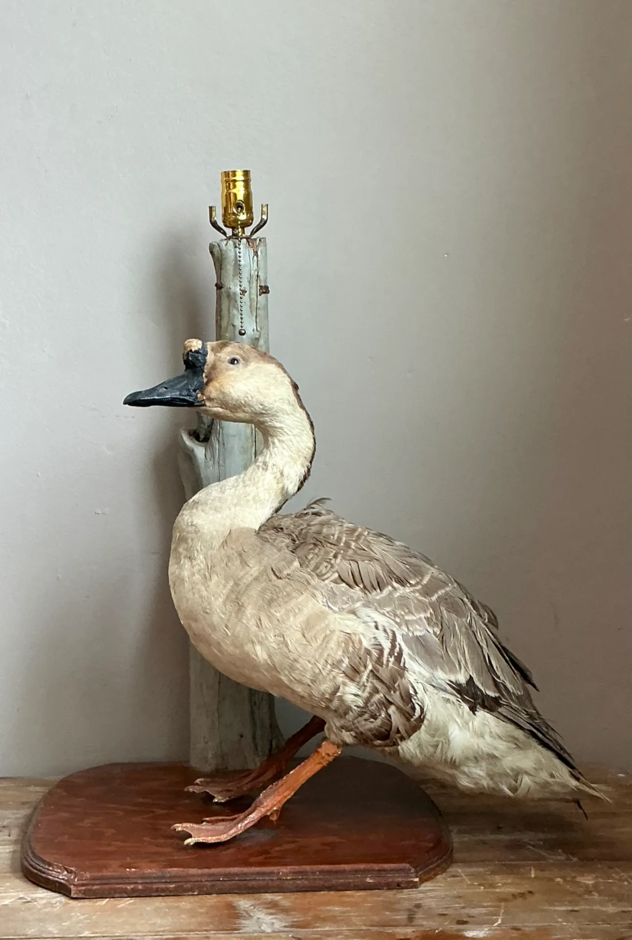 Vintage Taxidermy Goose Table Lamp — additional photo 1
