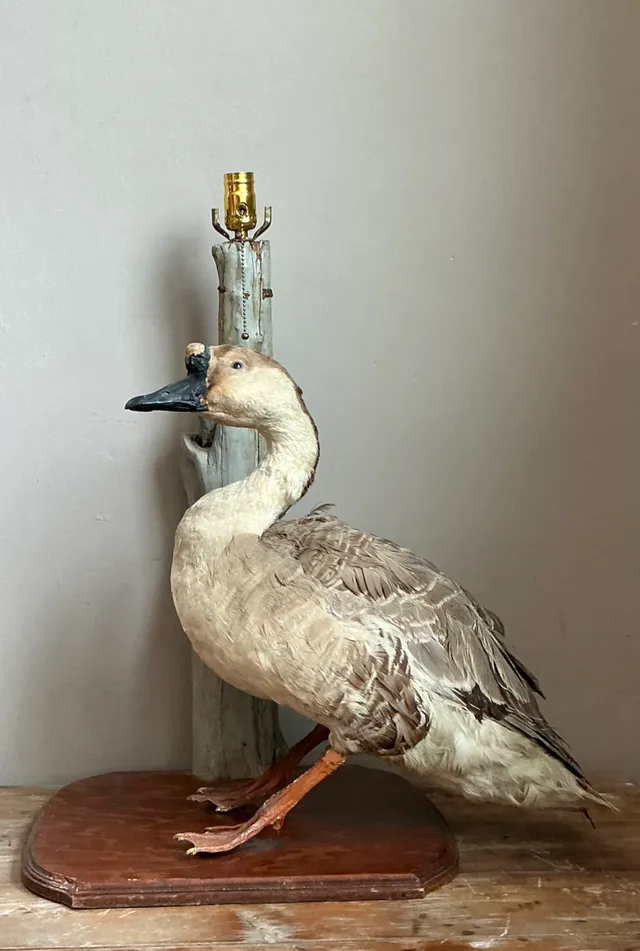 Vintage Taxidermy Goose Table Lamp — additional photo 1