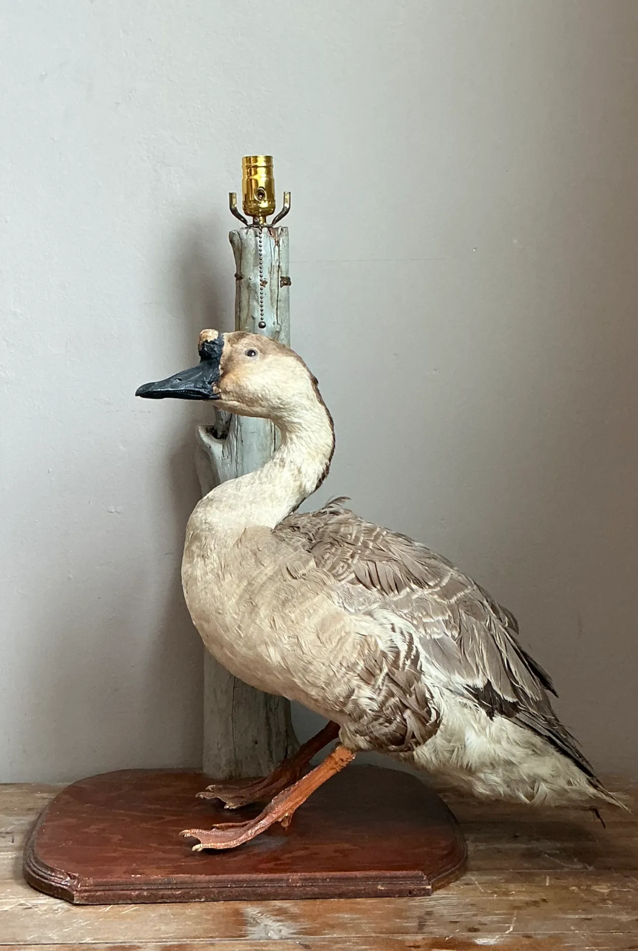 Vintage Taxidermy Goose Table Lamp — additional photo 7