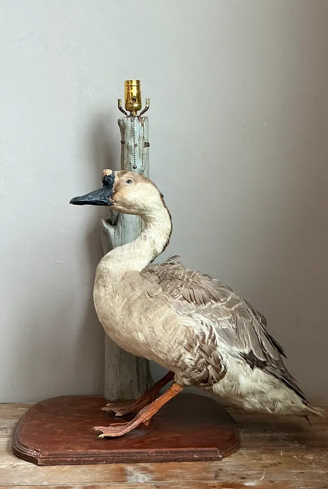 Vintage Taxidermy Goose Table Lamp — additional photo 7