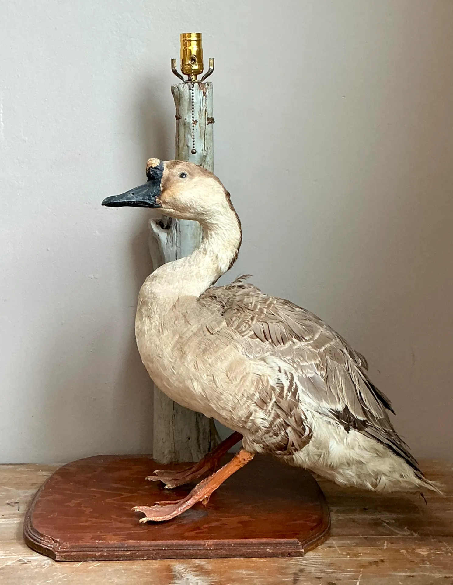 Vintage Taxidermy Goose Table Lamp — additional photo 3