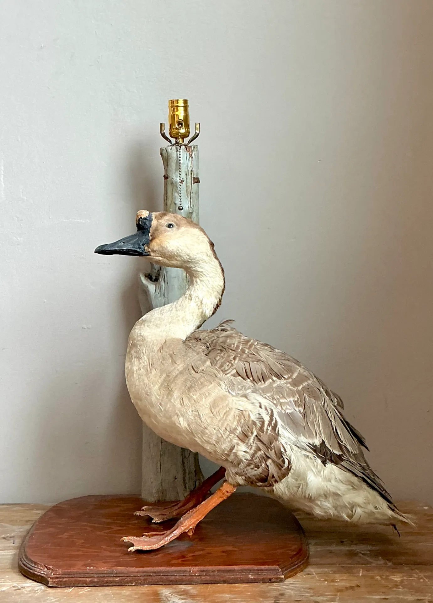 Vintage Taxidermy Goose Table Lamp — additional photo 6