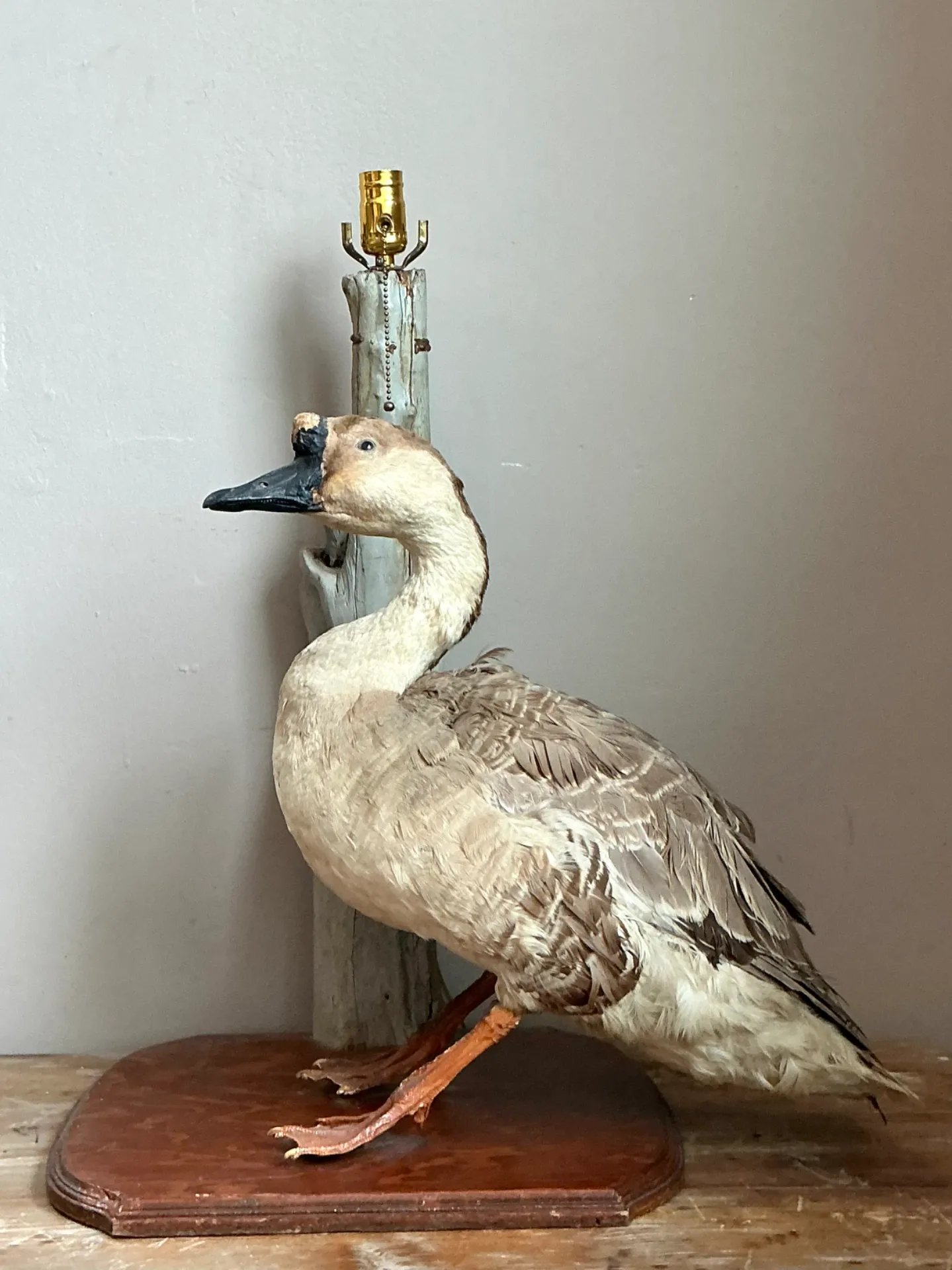 Vintage Taxidermy Goose Table Lamp — additional photo 8