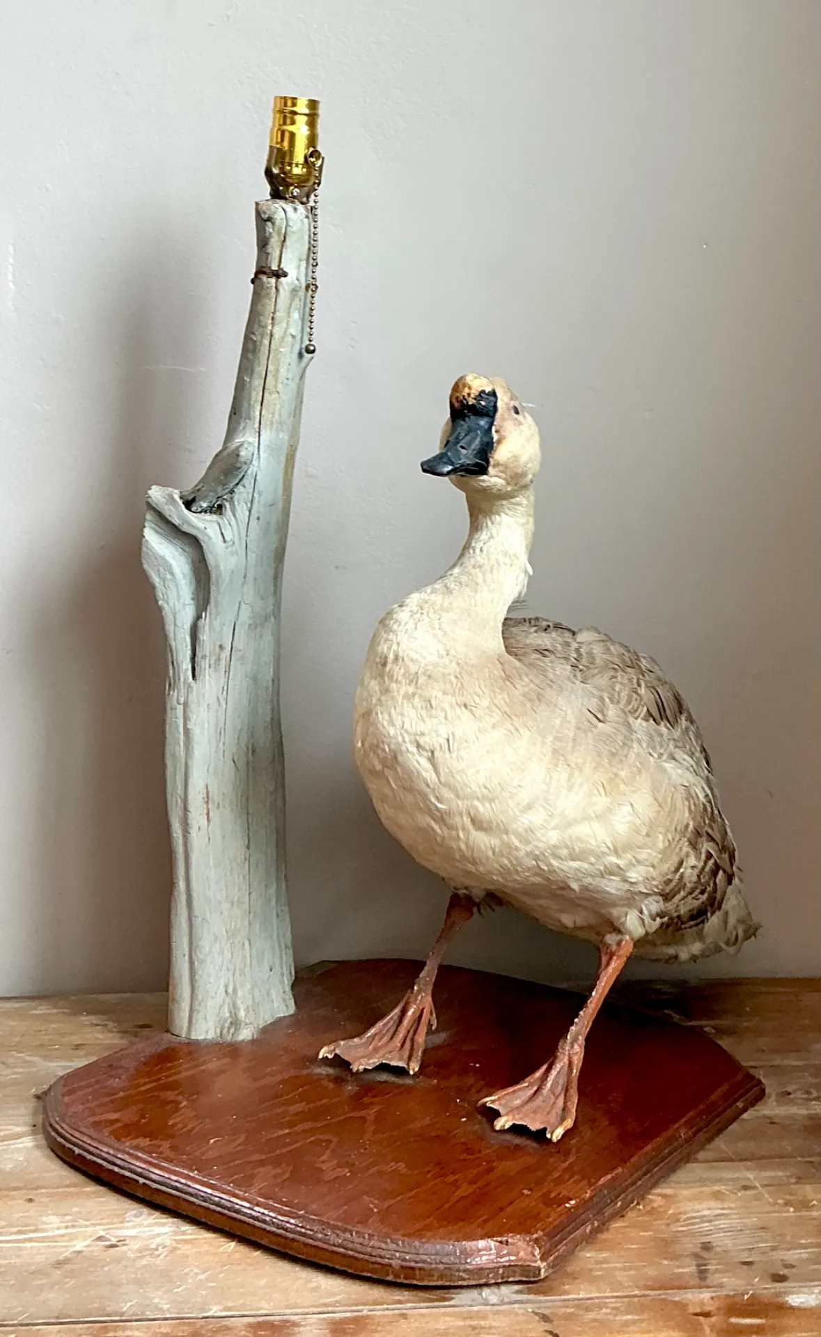 Vintage Taxidermy Goose Table Lamp — additional photo 5