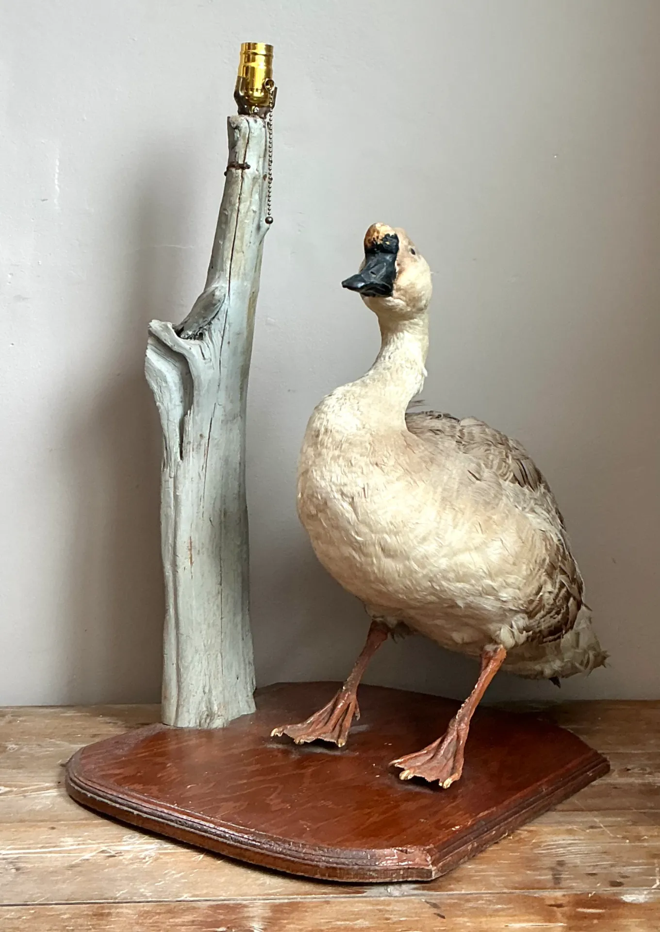 Vintage Taxidermy Goose Table Lamp — additional photo 4