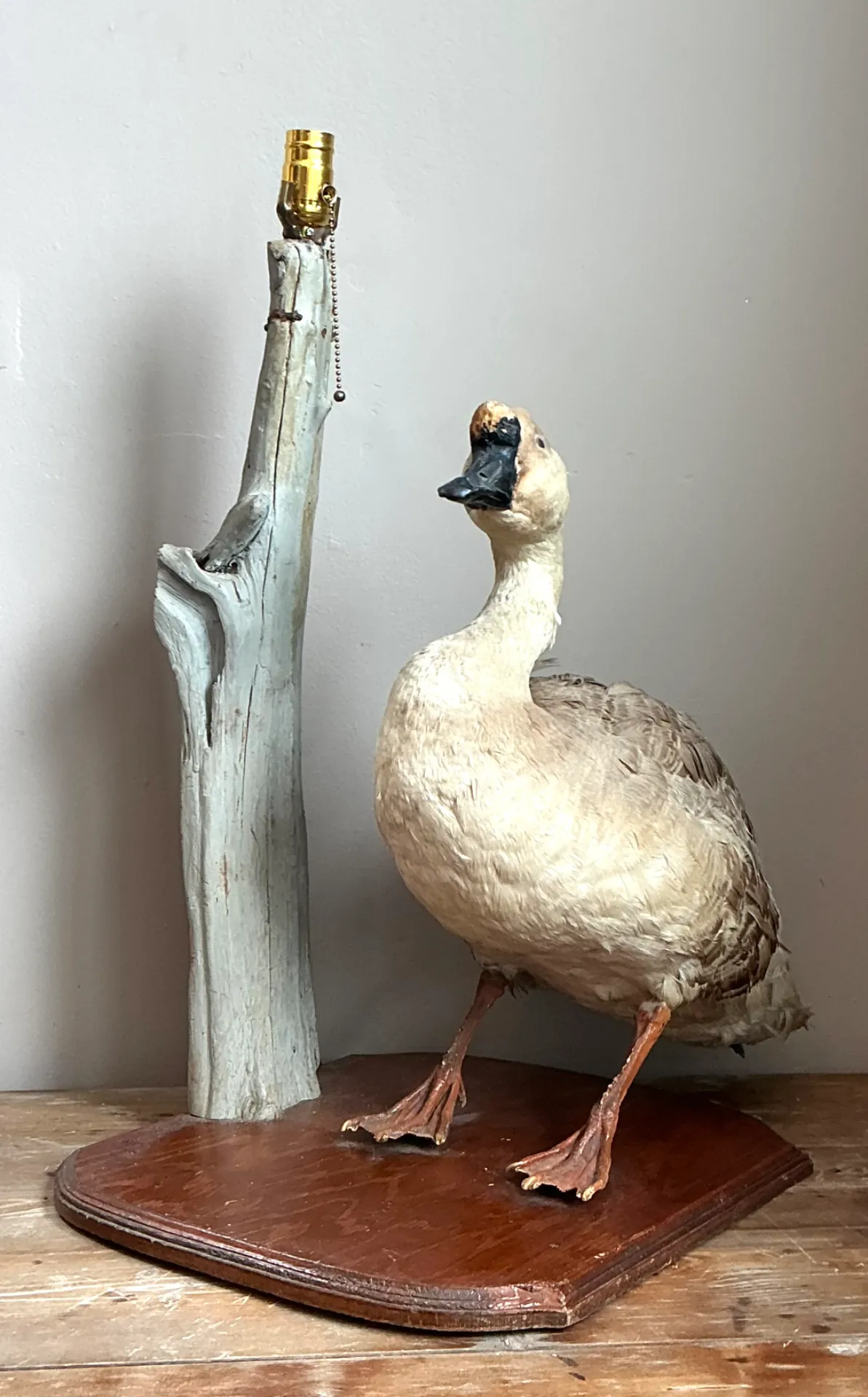 Vintage Taxidermy Goose Table Lamp — additional photo 2
