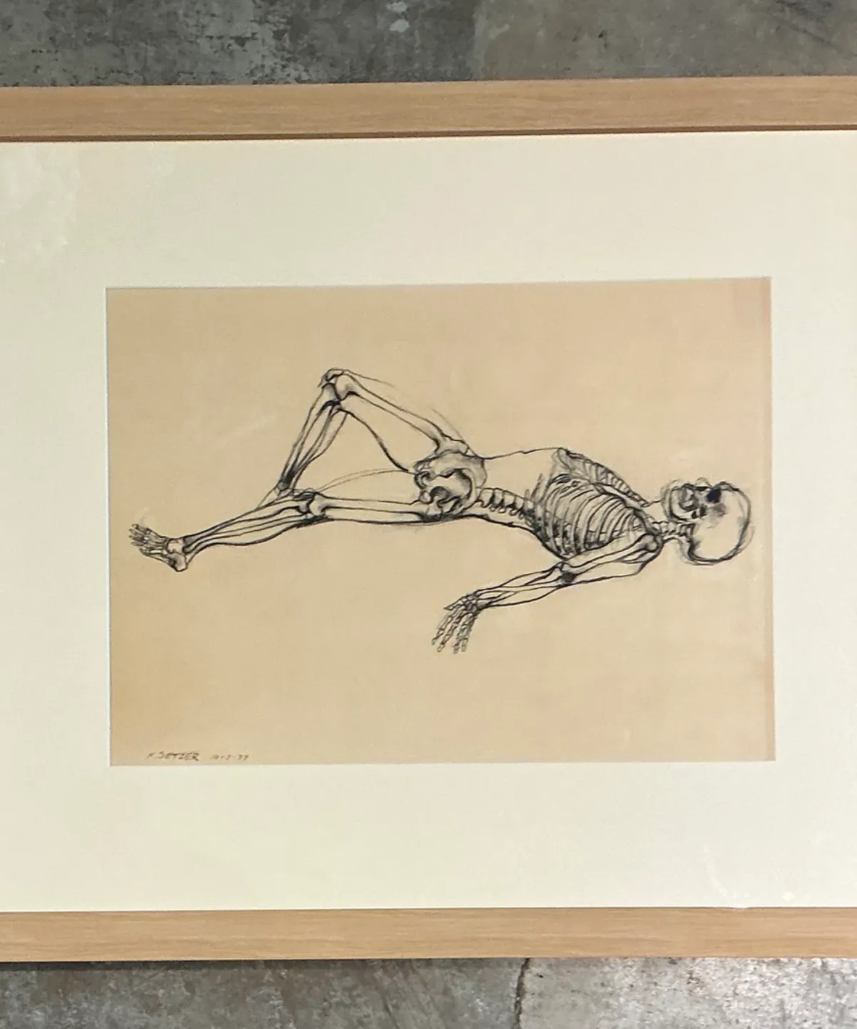 Vintage Framed Reclining Skeleton Study on Paper — additional photo 2
