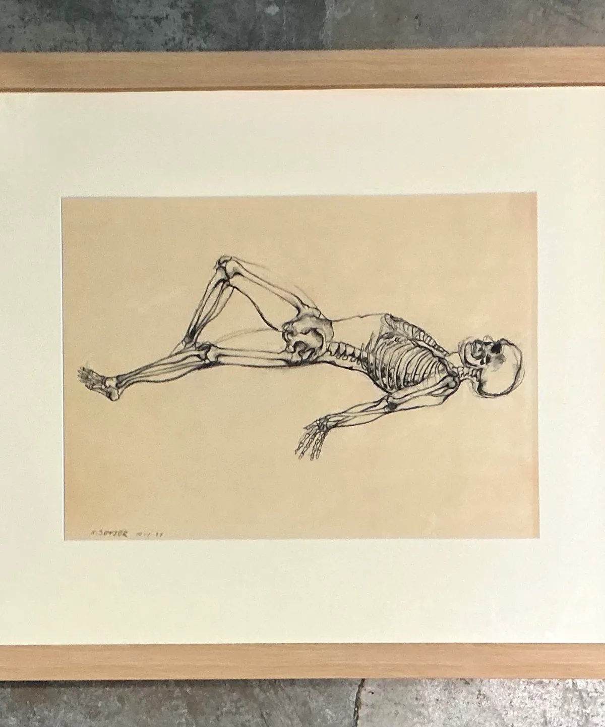Vintage Framed Reclining Skeleton Study on Paper — additional photo 5