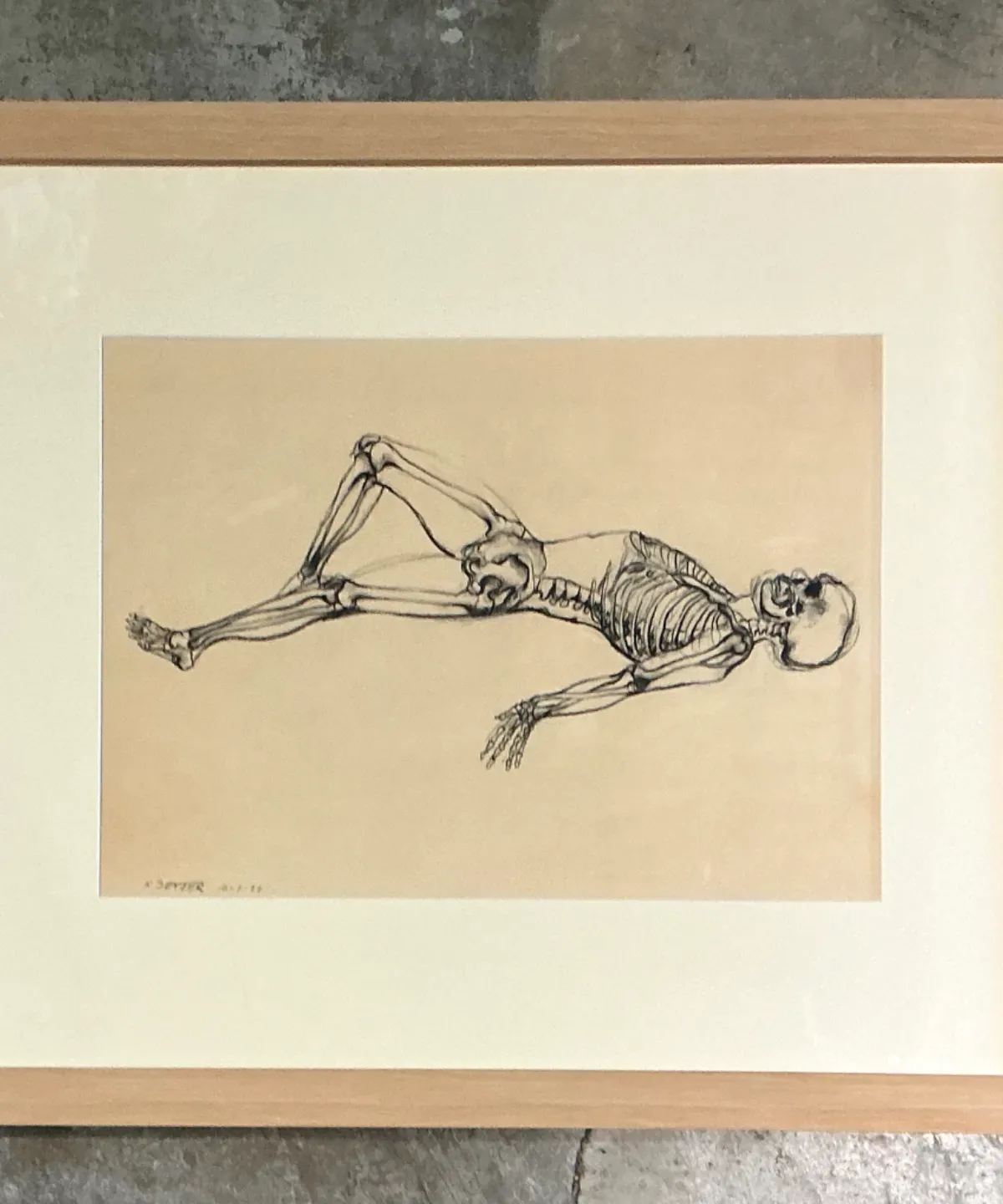 Vintage Framed Reclining Skeleton Study on Paper — additional photo 3