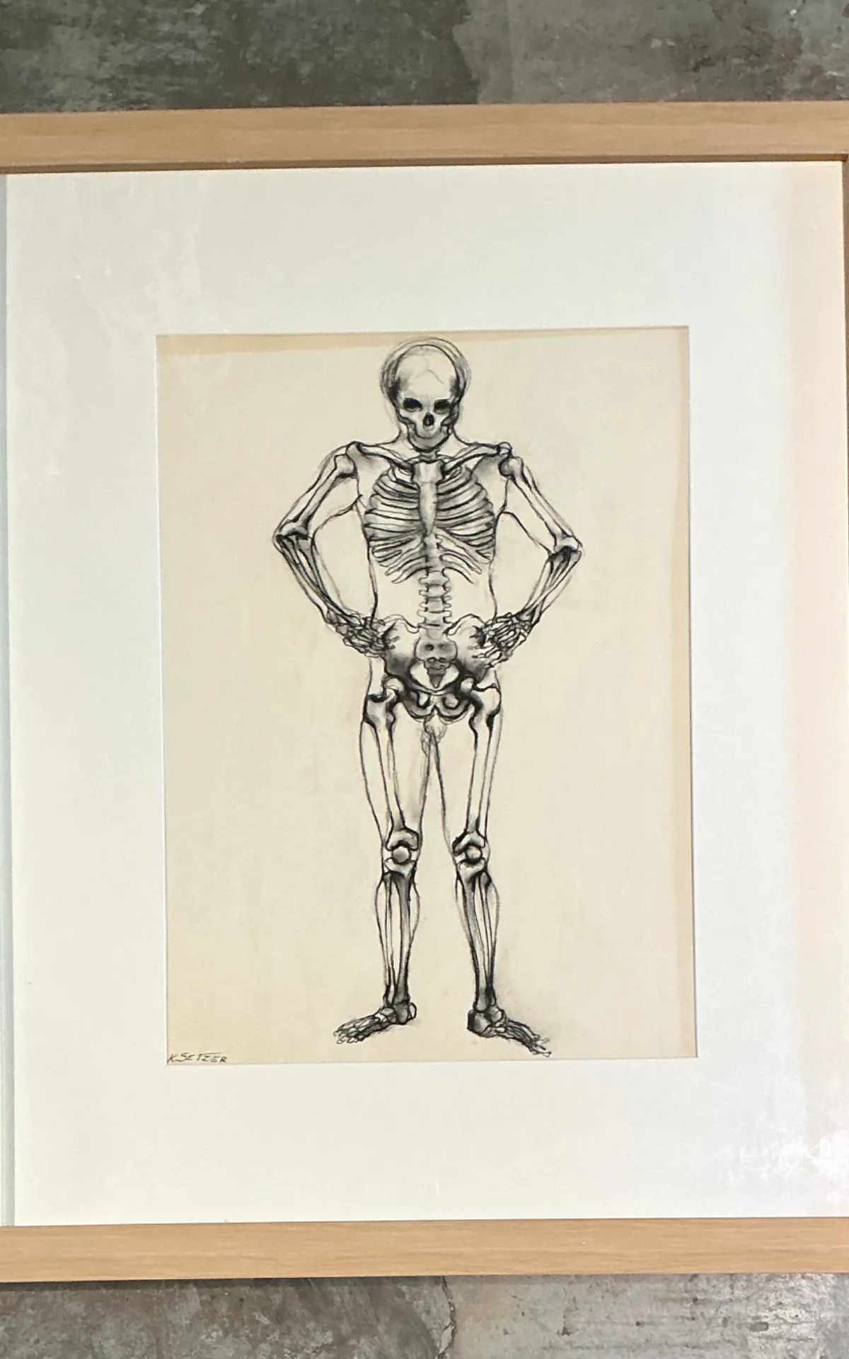 Vintage Framed Skeleton Study on Paper — additional photo 2