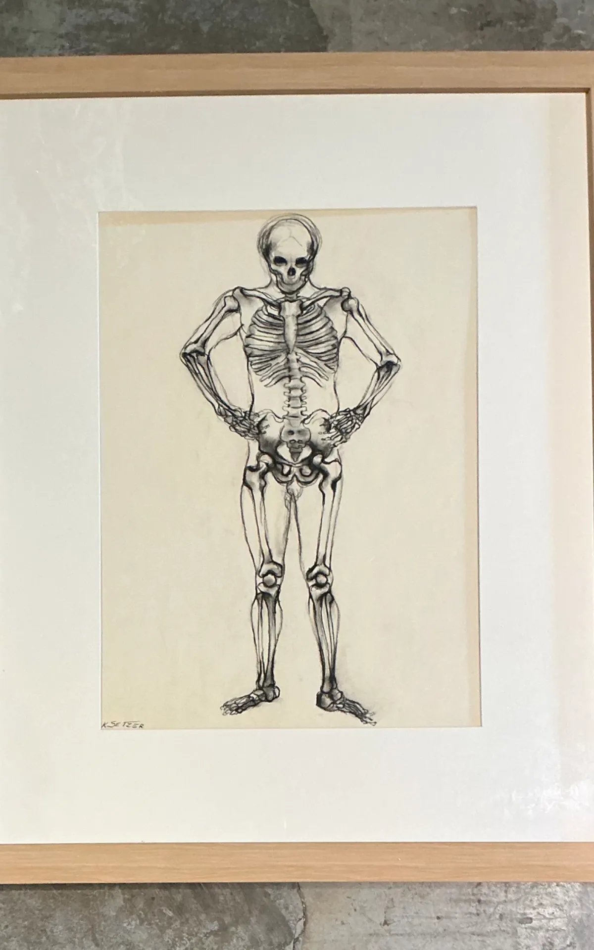 Vintage Framed Skeleton Study on Paper — additional photo 4