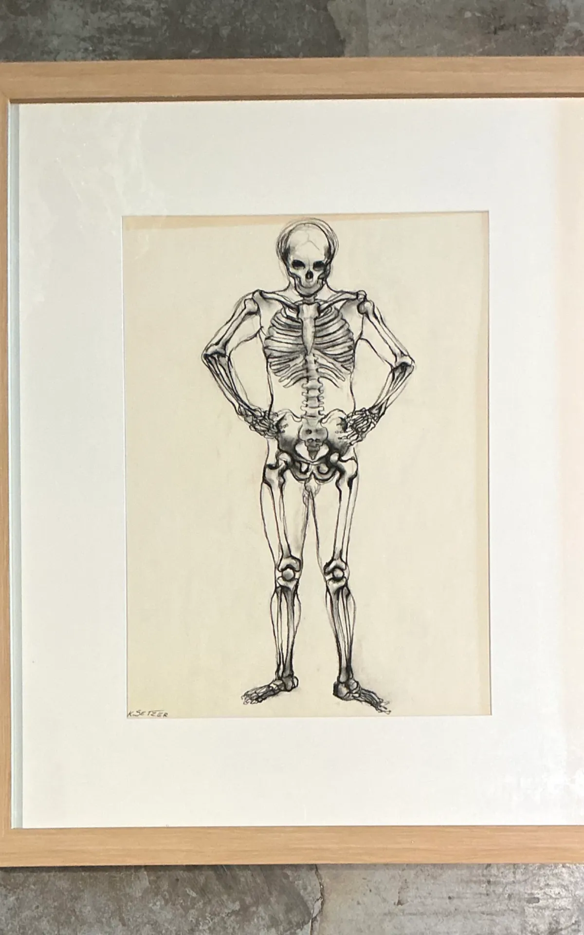 Vintage Framed Skeleton Study on Paper — additional photo 7