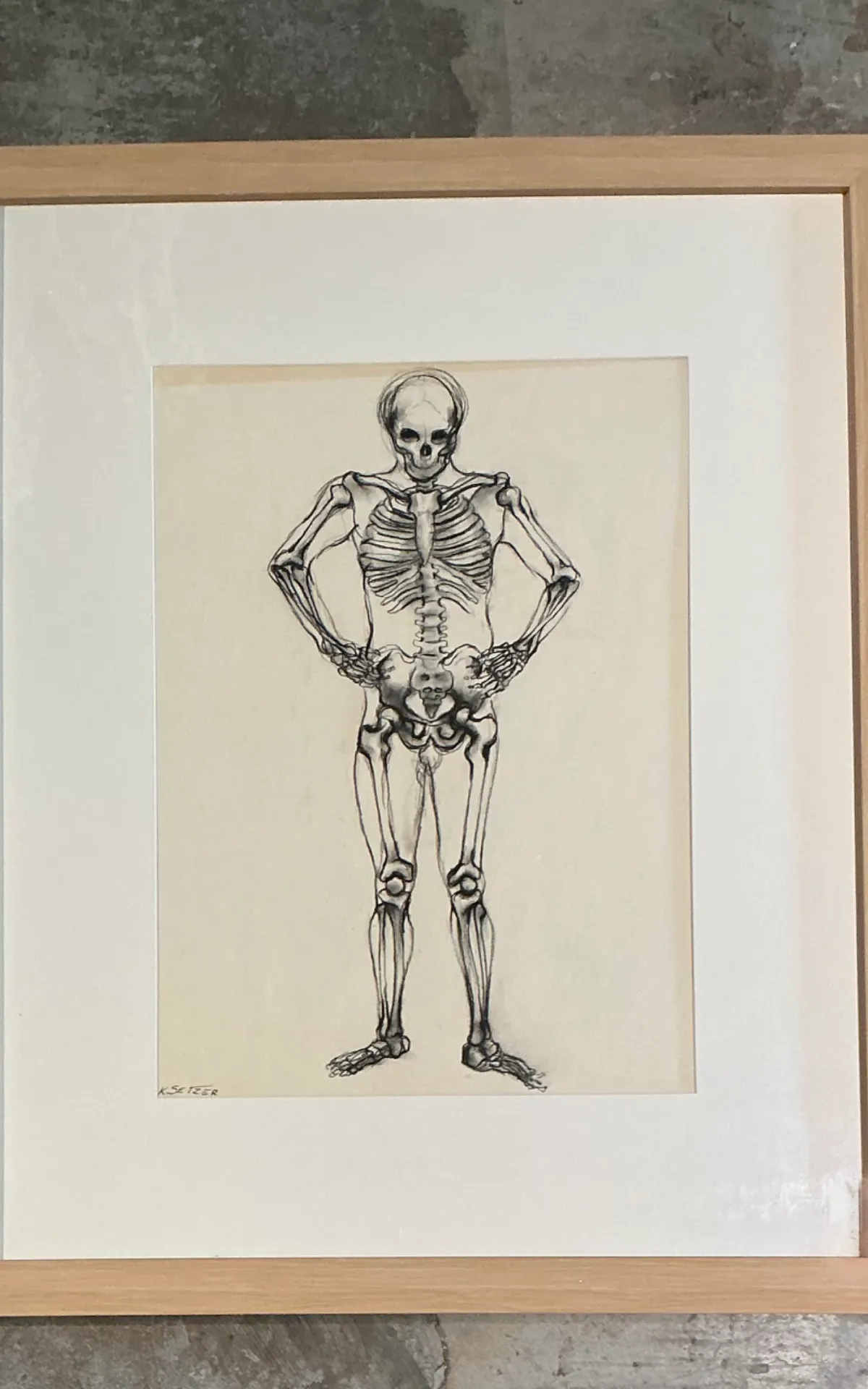 Vintage Framed Skeleton Study on Paper — additional photo 6