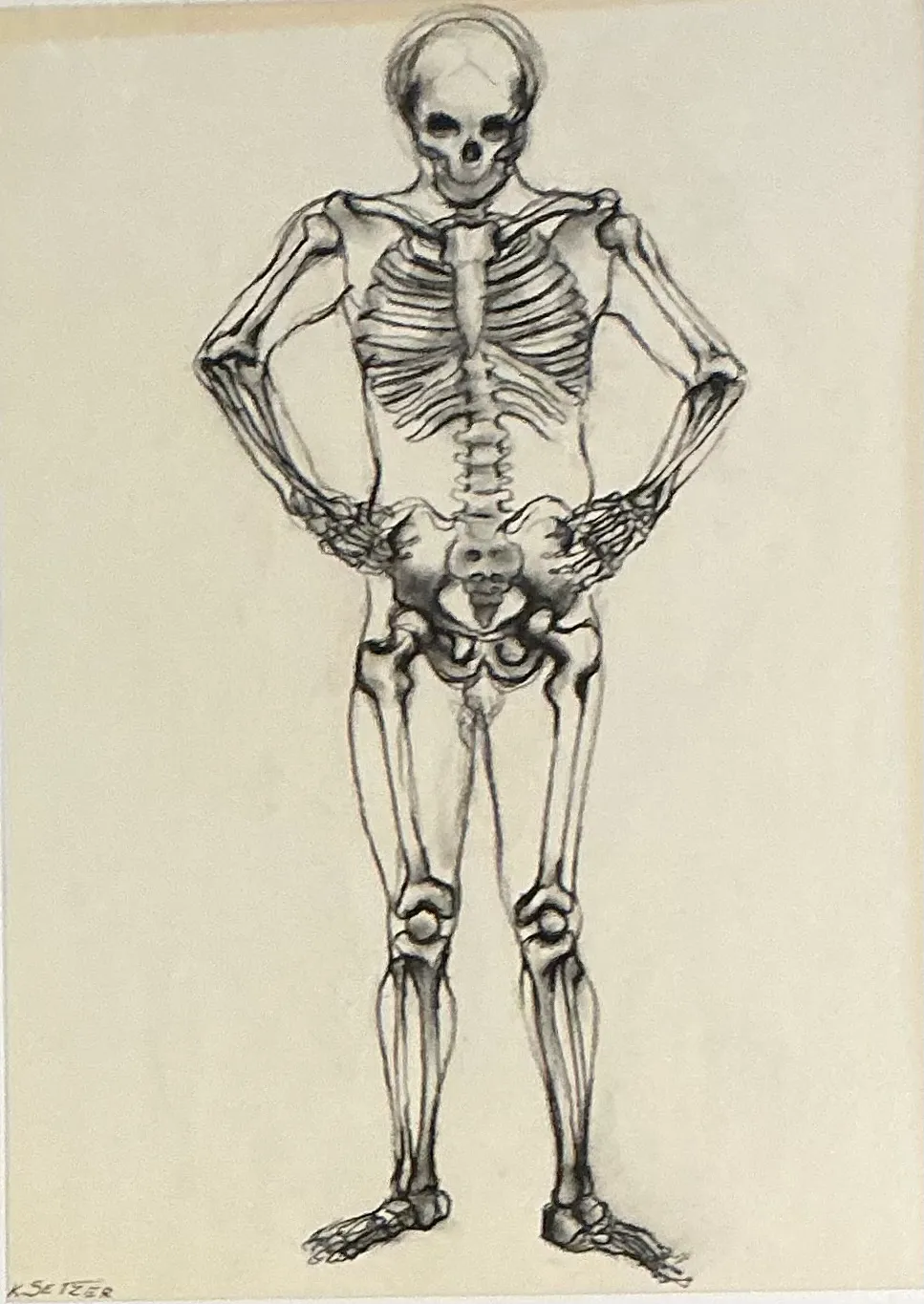 Vintage Framed Skeleton Study on Paper — additional photo 1