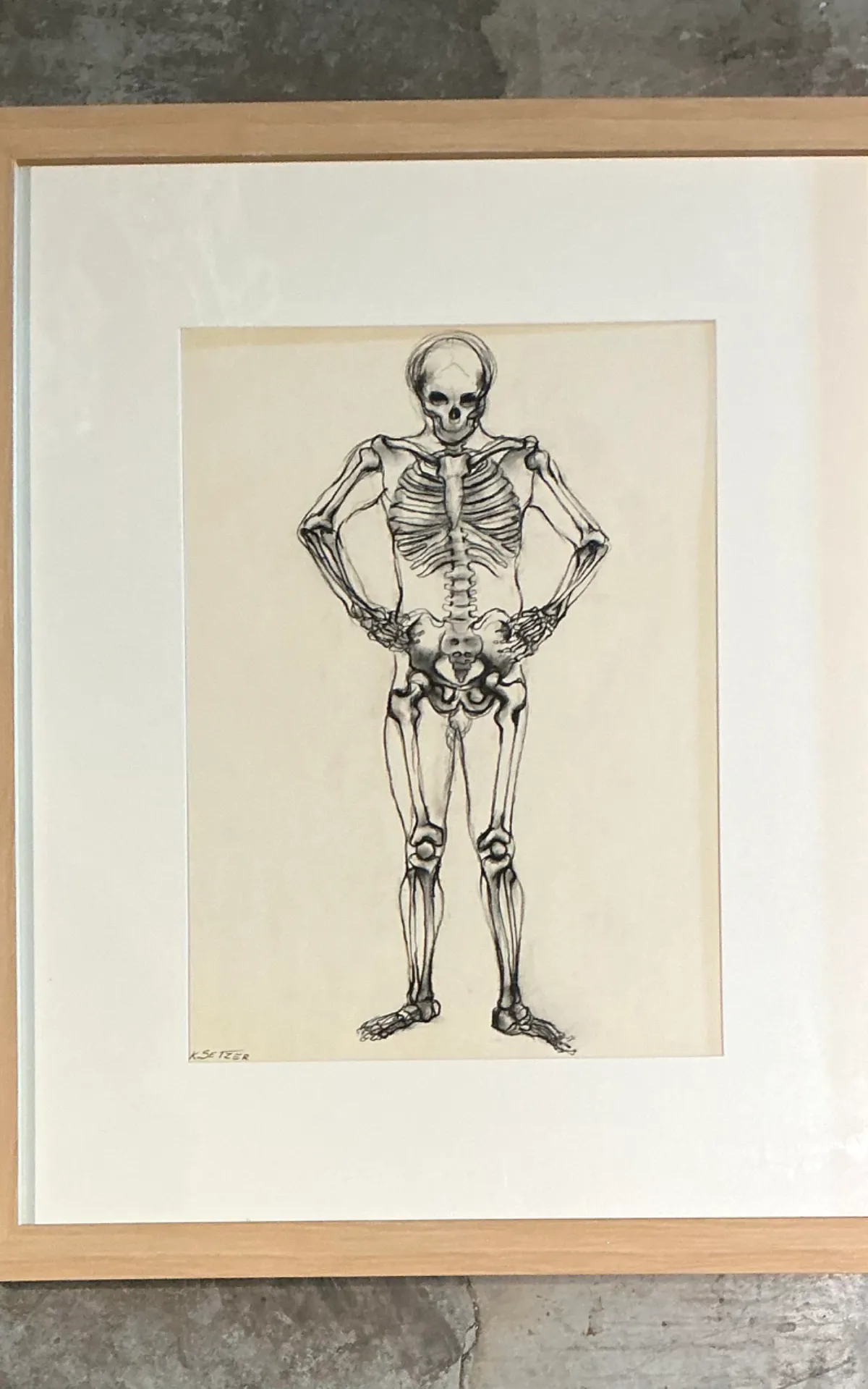 Vintage Framed Skeleton Study on Paper — additional photo 3