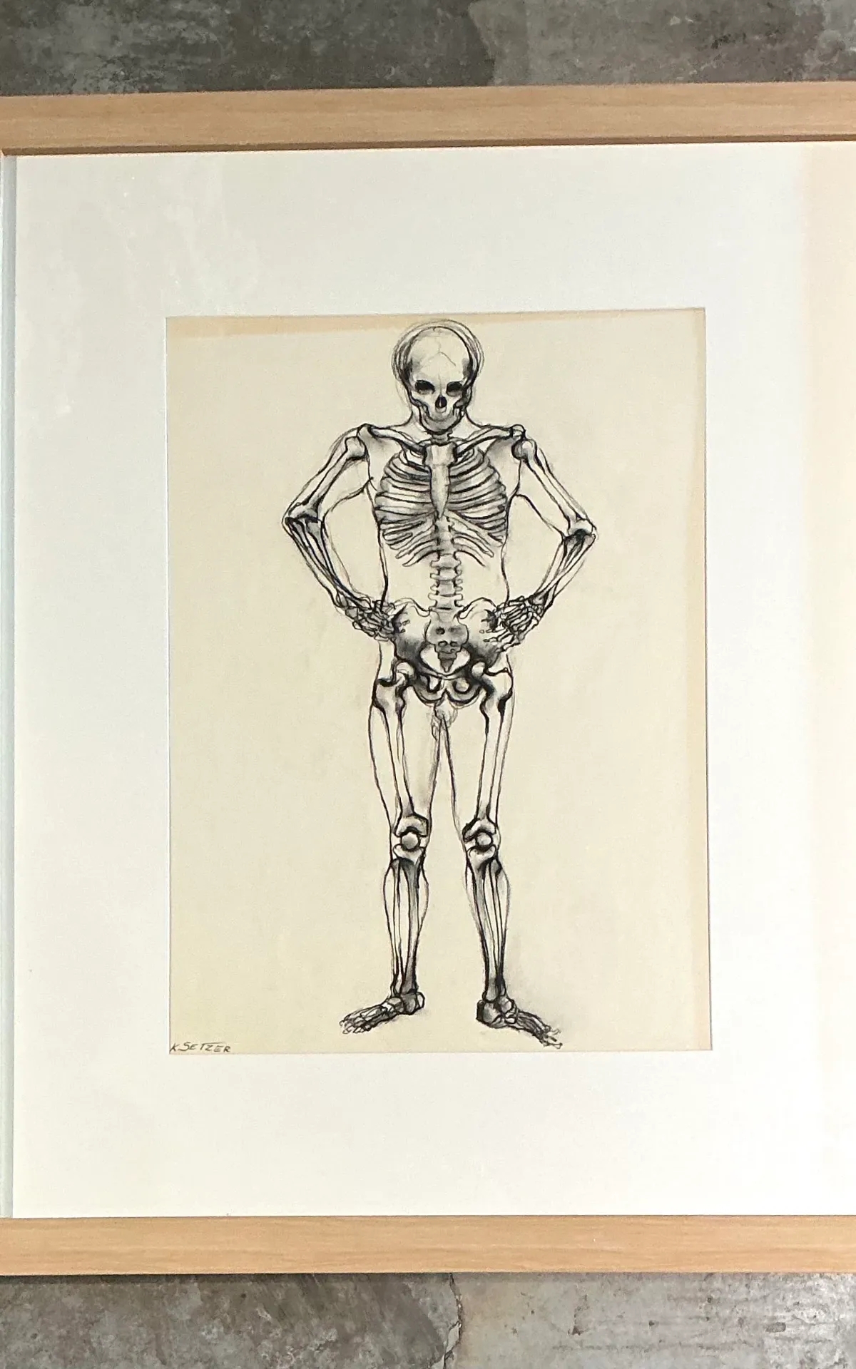Vintage Framed Skeleton Study on Paper — additional photo 5