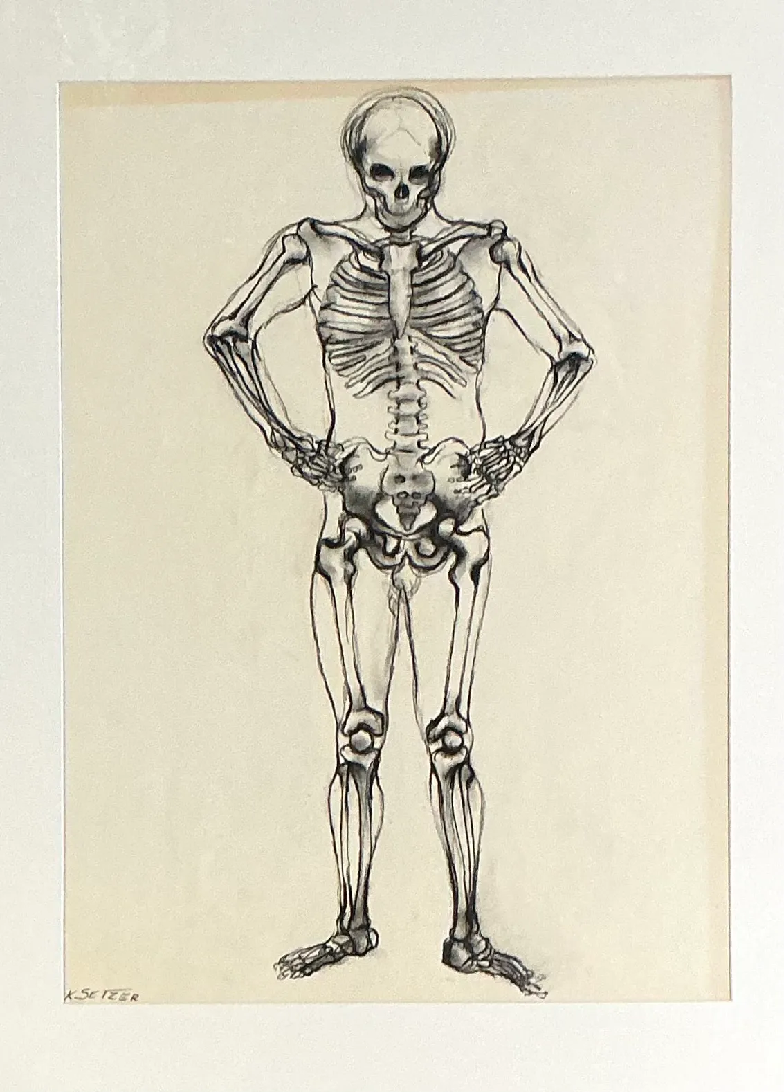 Vintage Framed Skeleton Study on Paper — additional photo 8