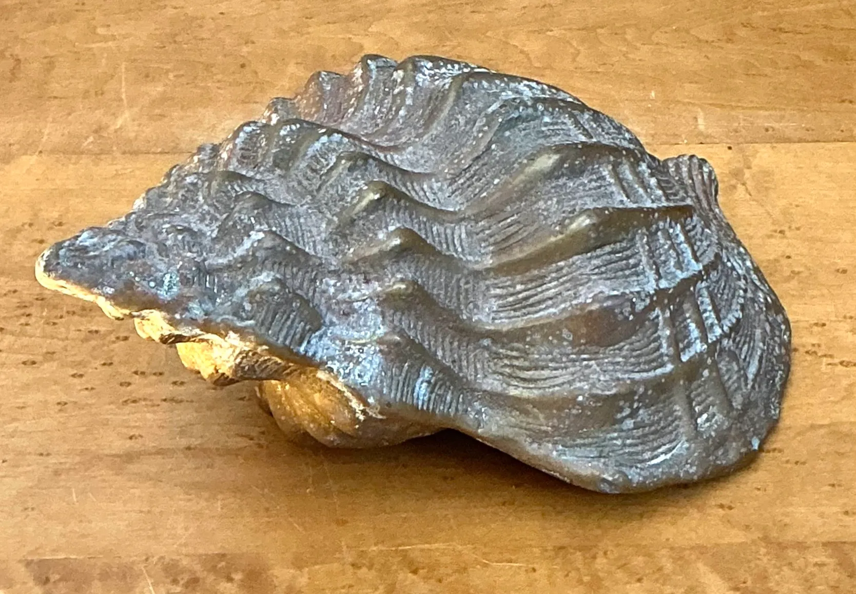 Vintage Patinated Brass Conch Shell — additional photo 2