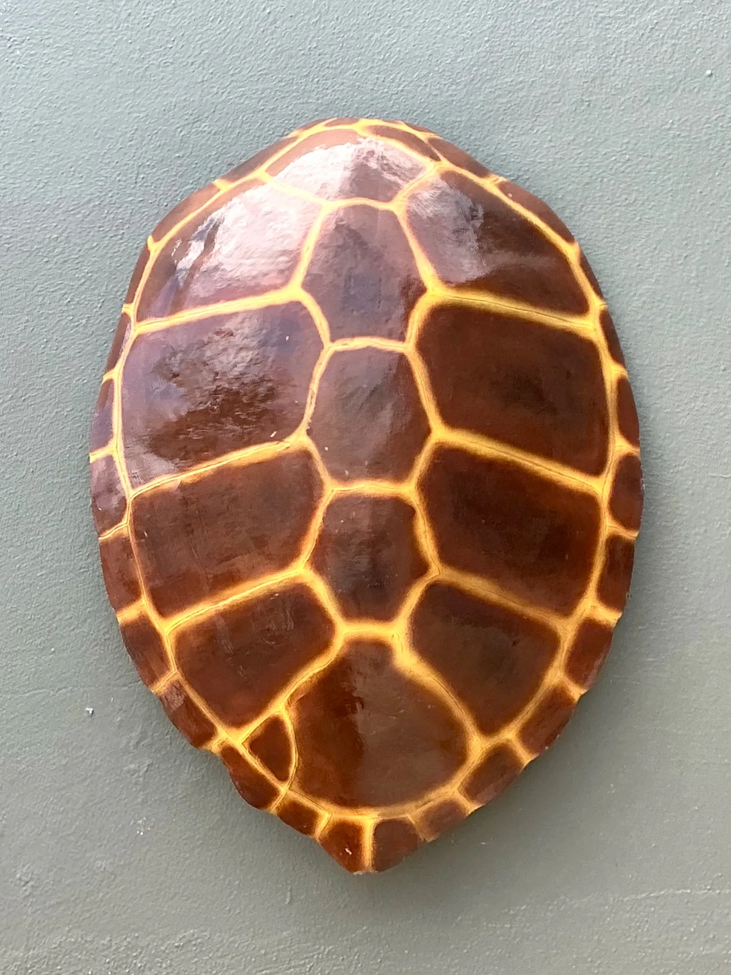 Vintage Monumental Faux Tortoise Shell — additional photo 5