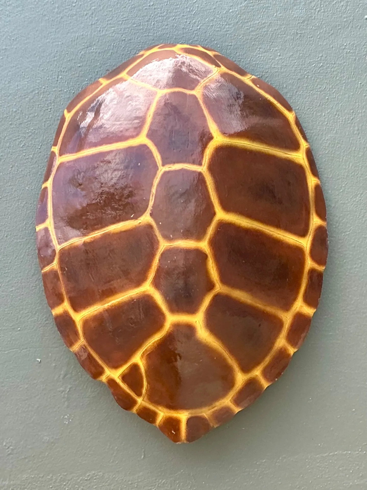 Vintage Monumental Faux Tortoise Shell — additional photo 7