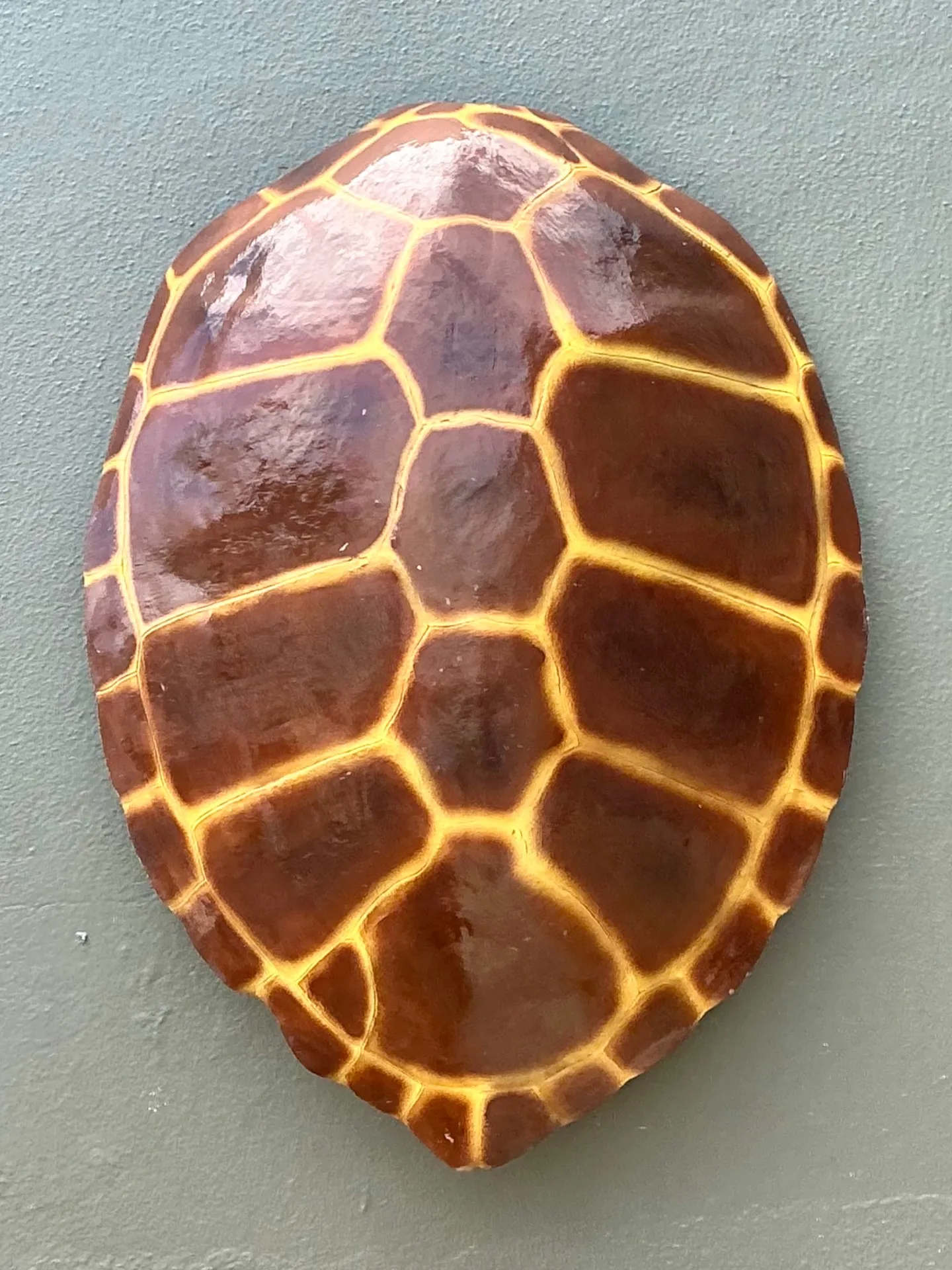 Vintage Monumental Faux Tortoise Shell — additional photo 3