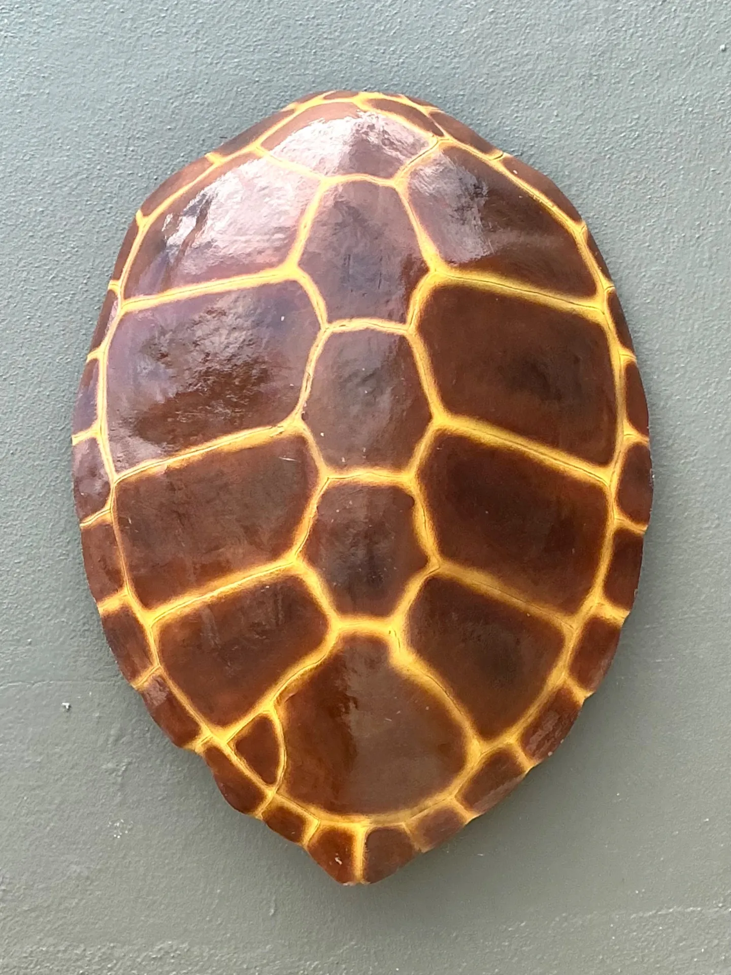 Vintage Monumental Faux Tortoise Shell — additional photo 2