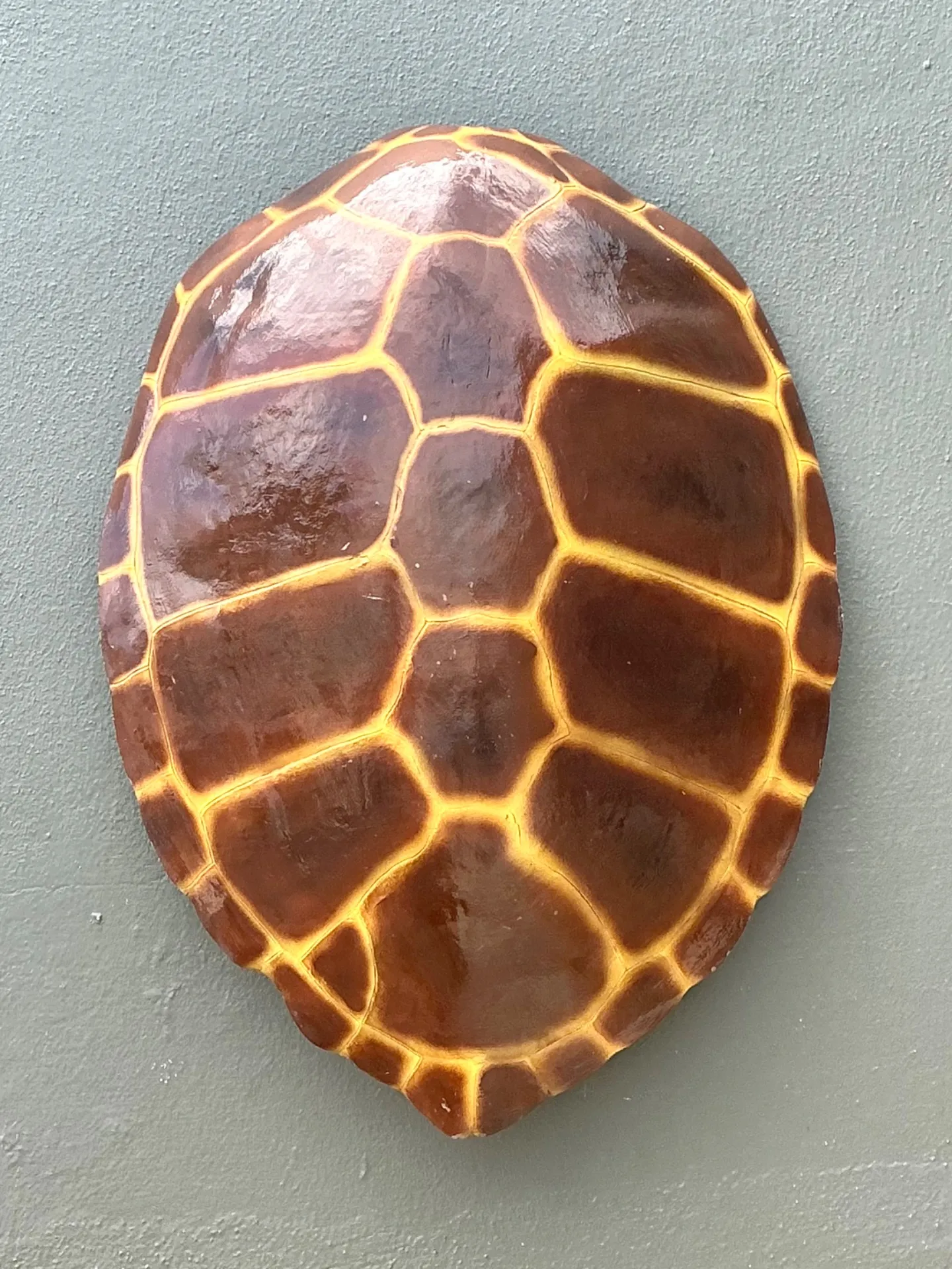 Vintage Monumental Faux Tortoise Shell — additional photo 1