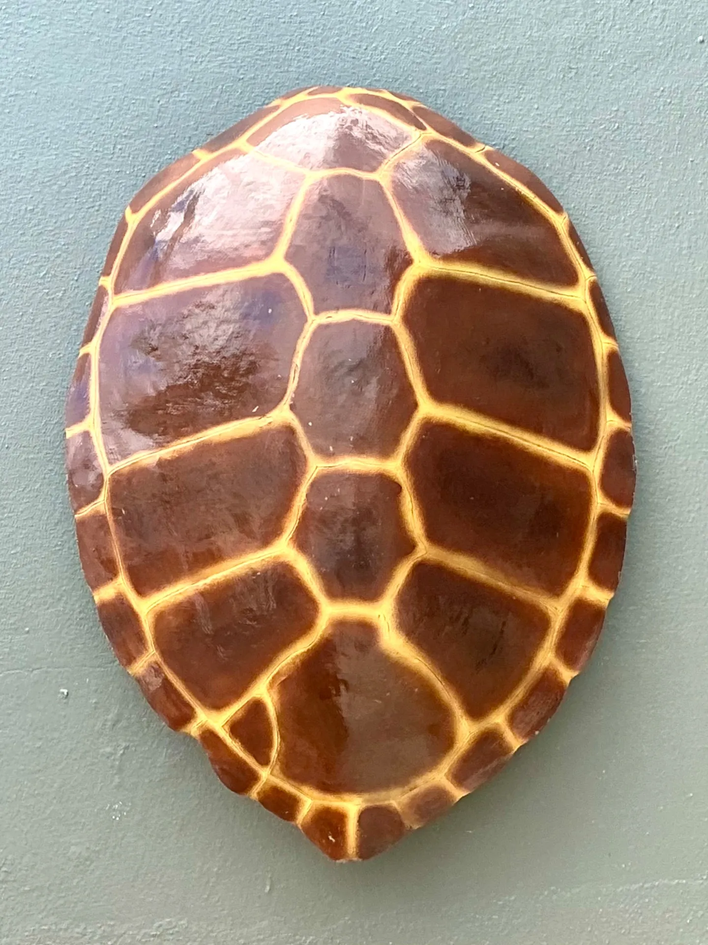 Vintage Monumental Faux Tortoise Shell — additional photo 4