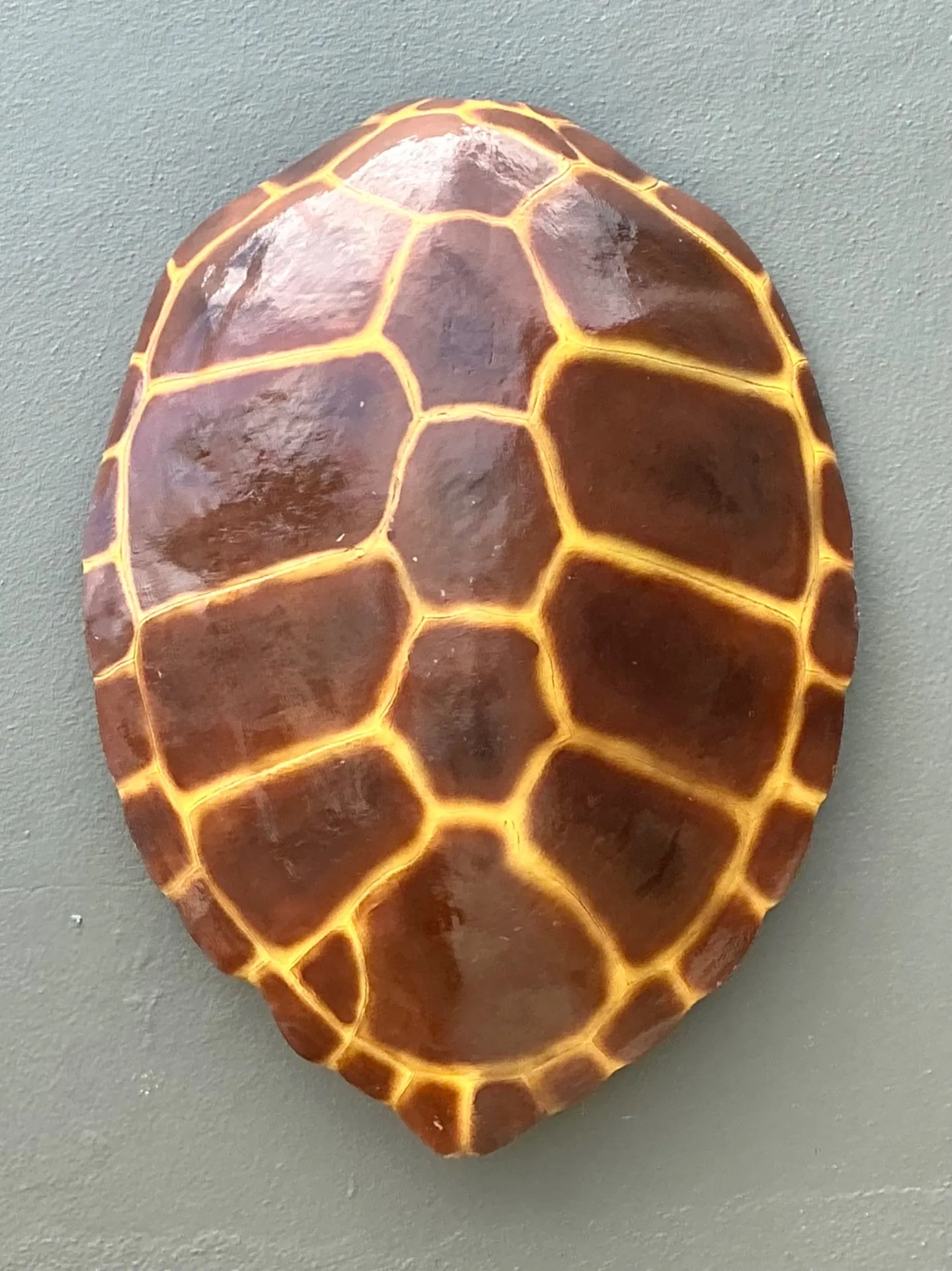 Vintage Monumental Faux Tortoise Shell — additional photo 6