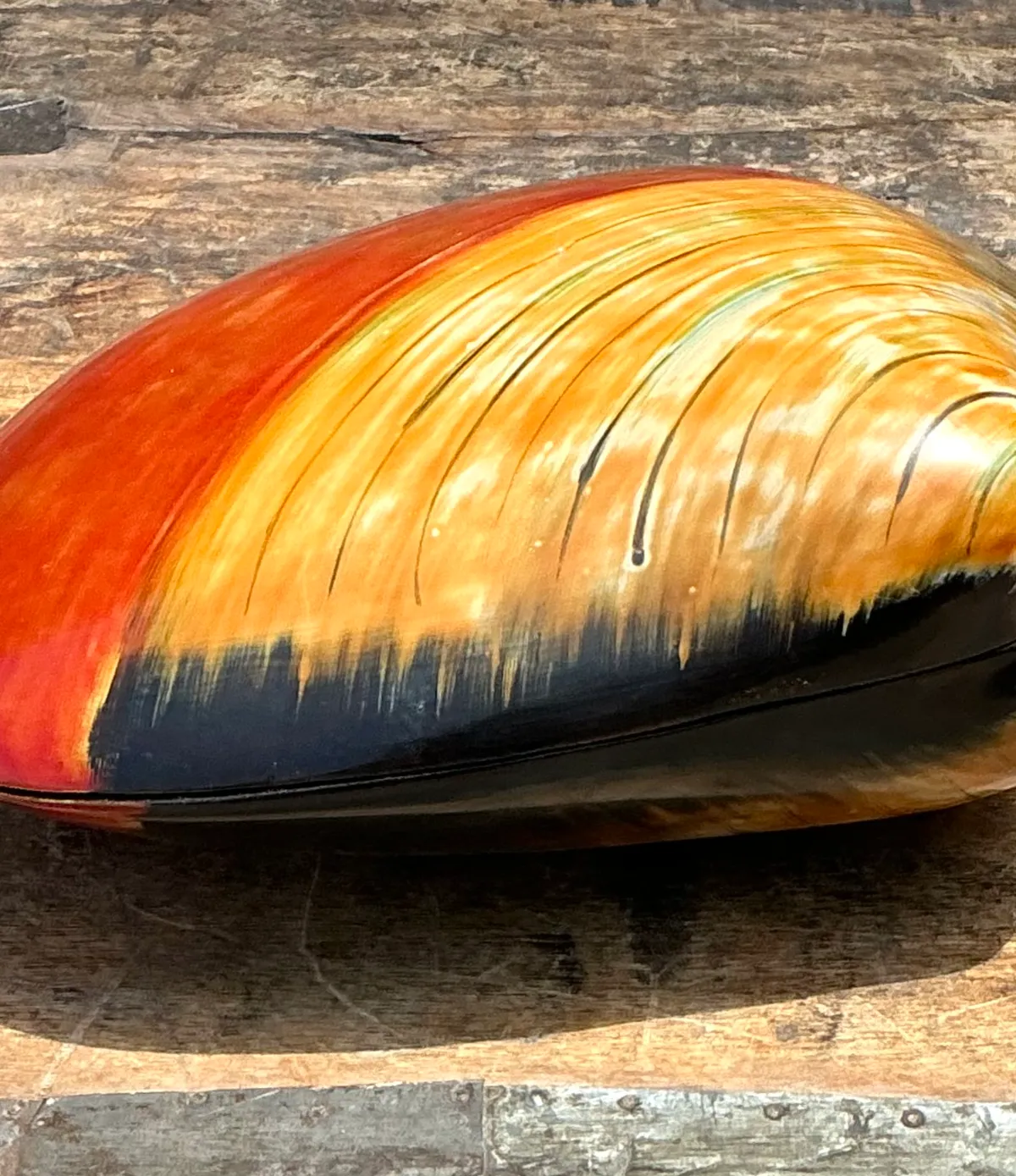 Vintage Lacquered Clam Shell Box — additional photo 1