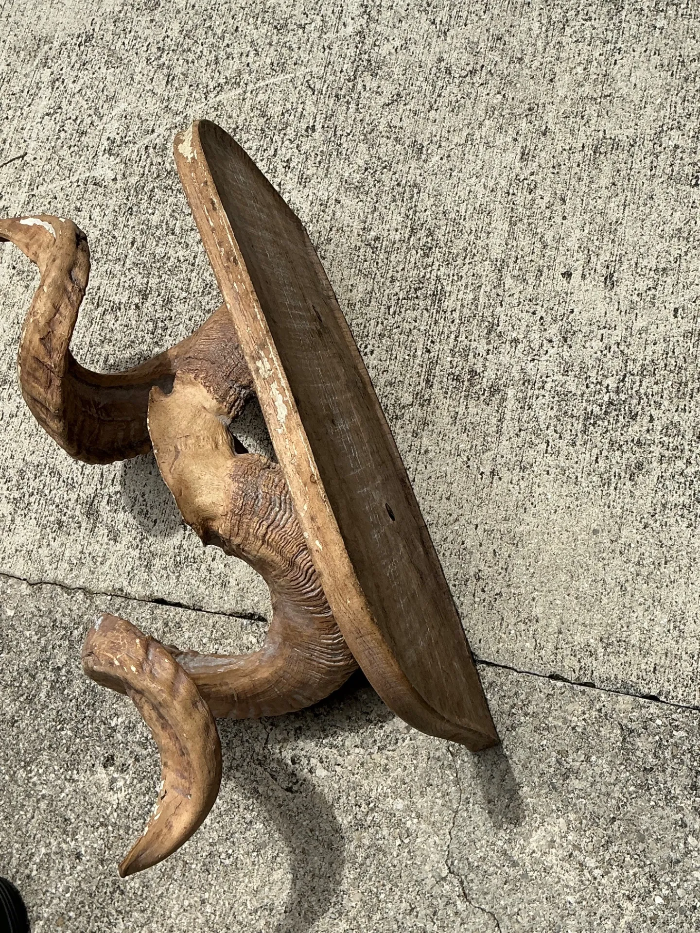 Vintage Faux Ram’s Horn Bracket — additional photo 6