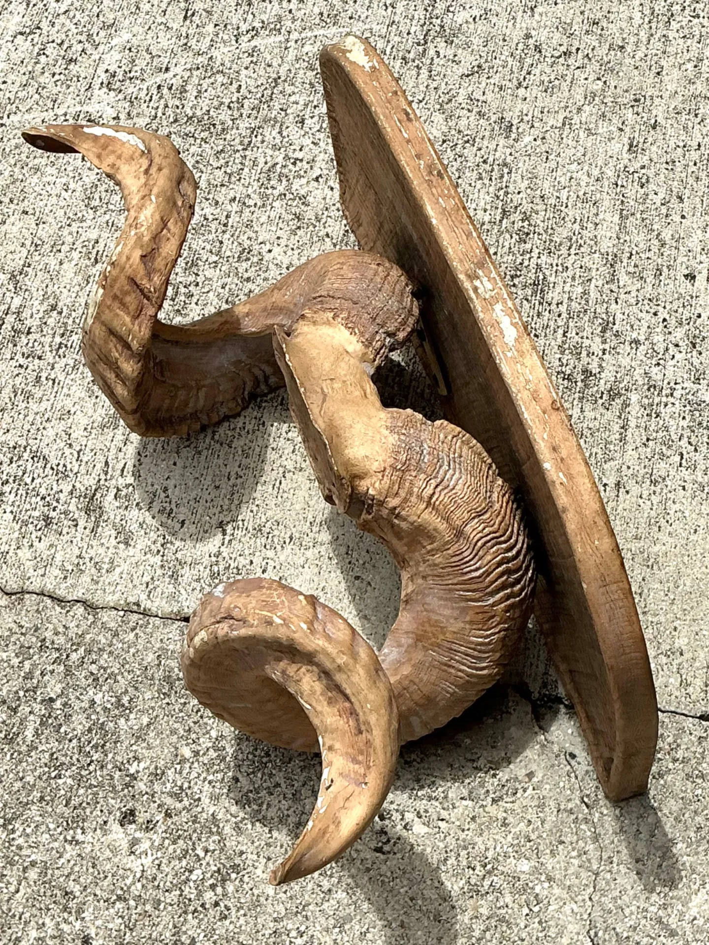 Vintage Faux Ram’s Horn Bracket — additional photo 4