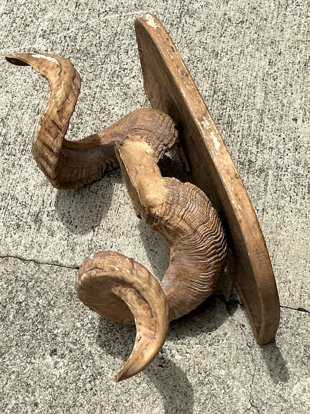 Vintage Faux Ram’s Horn Bracket — additional photo 8