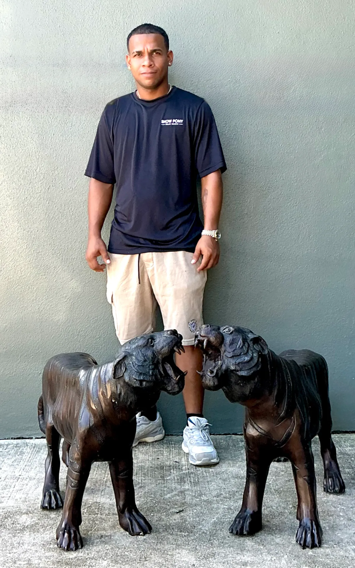 Vintage Bronze Tiger Sculptures - A Pair — additional photo 5