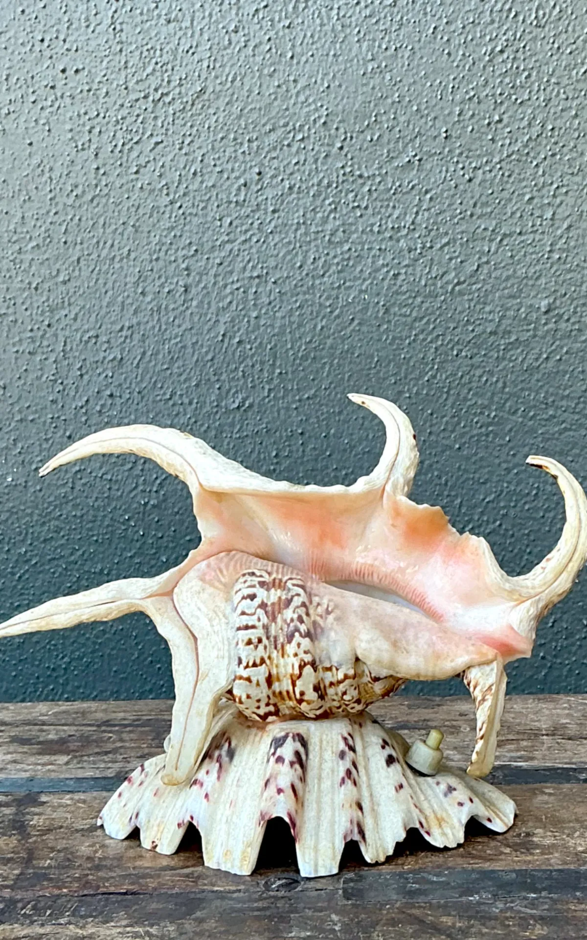 Vintage Spiked Shell Vanity Lamp — additional photo 2
