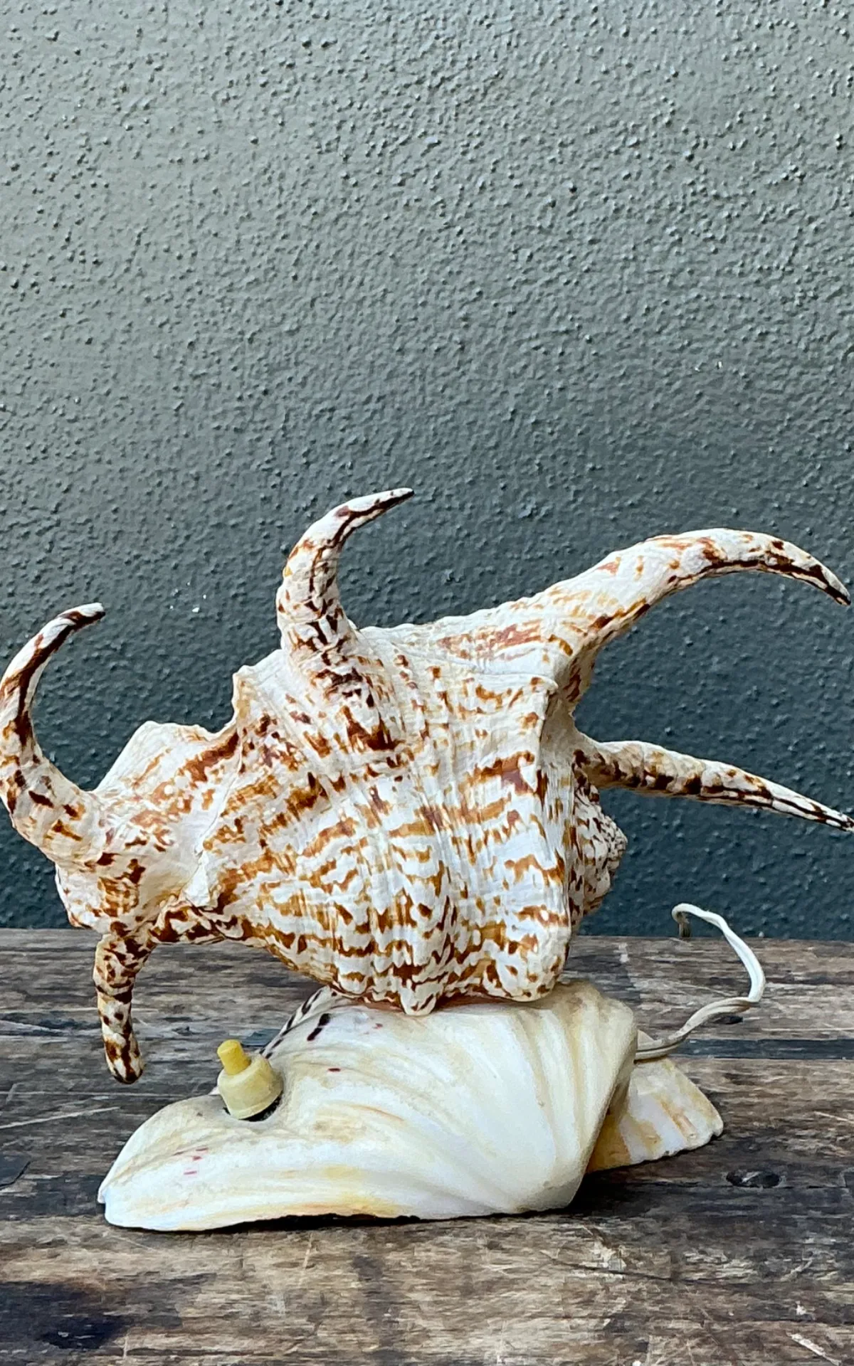 Vintage Spiked Shell Vanity Lamp — additional photo 8