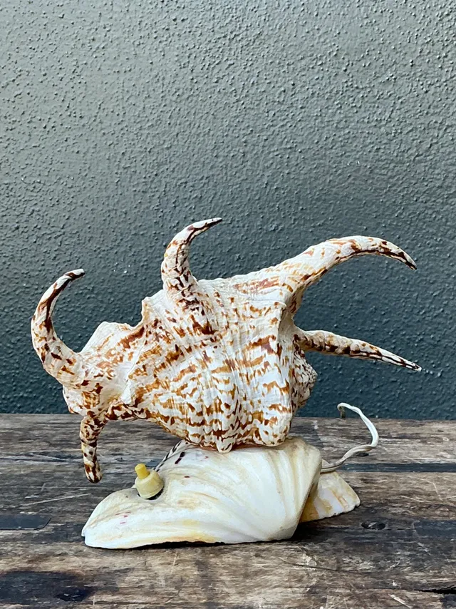 Vintage Spiked Shell Vanity Lamp — additional photo 8