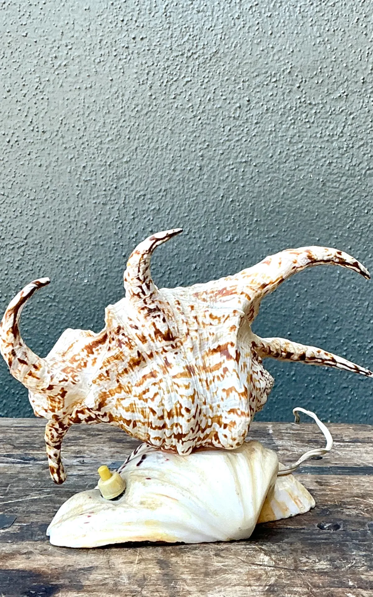 Vintage Spiked Shell Vanity Lamp — additional photo 6