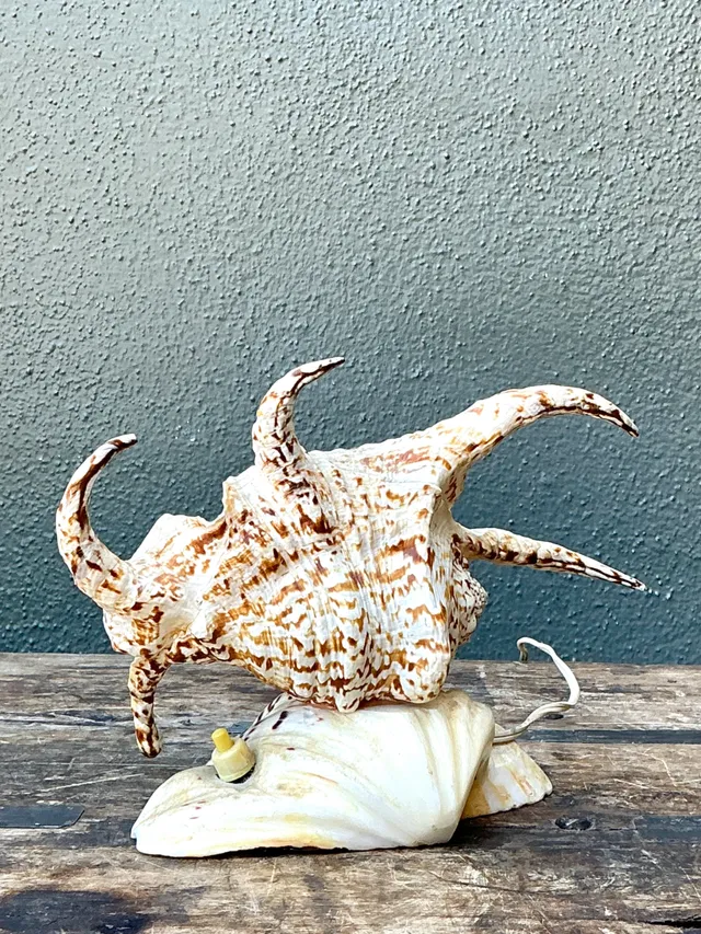 Vintage Spiked Shell Vanity Lamp — additional photo 6