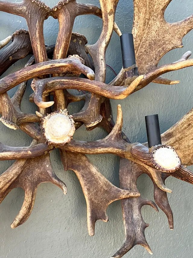 Vintage Monumental Antler and Metal Wall Sconce — additional photo 6