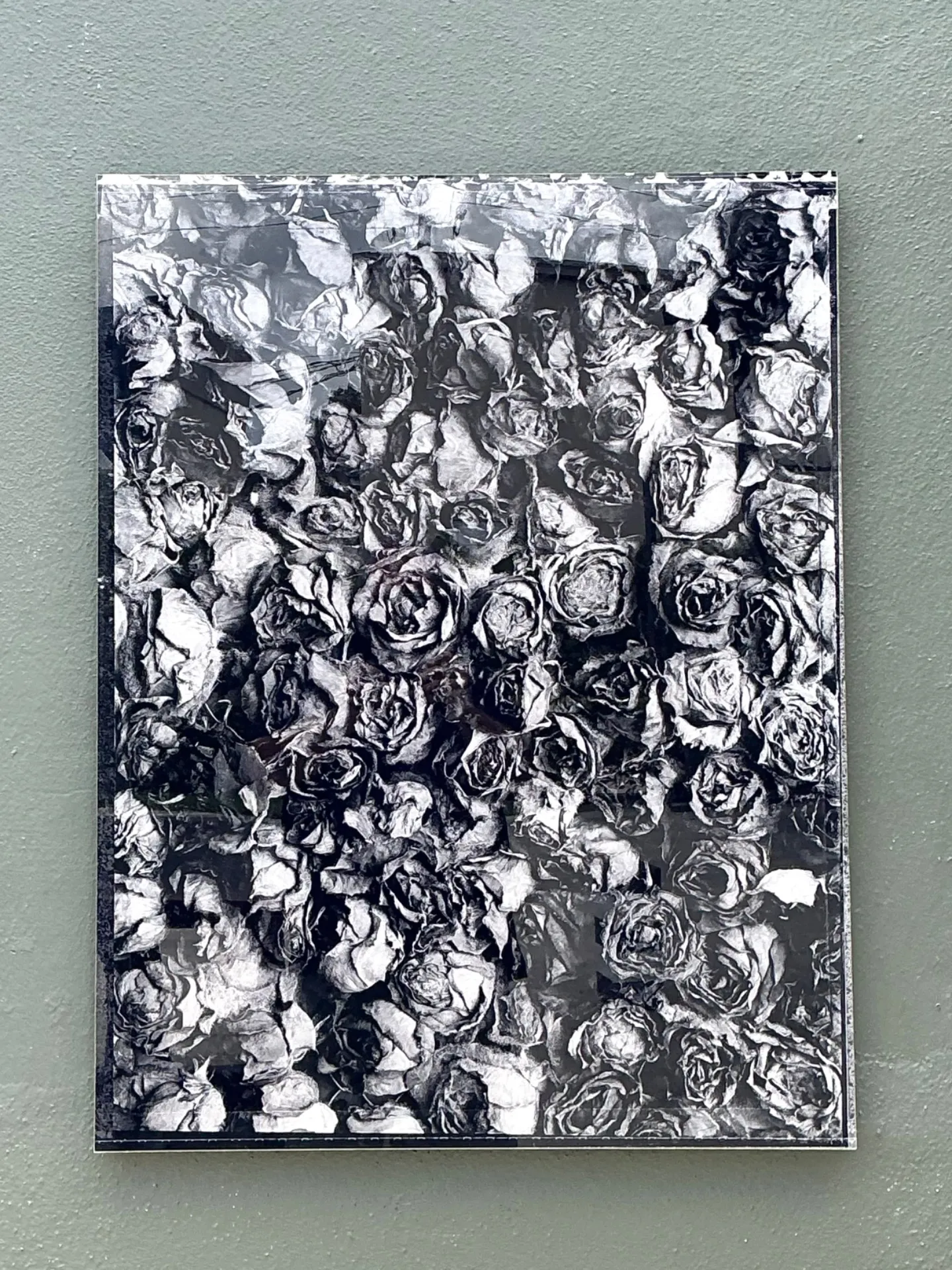 Vintage 1993 Mauricio Donelli “”A Thousand Of Roses” Photograph On Plexi — additional photo 2